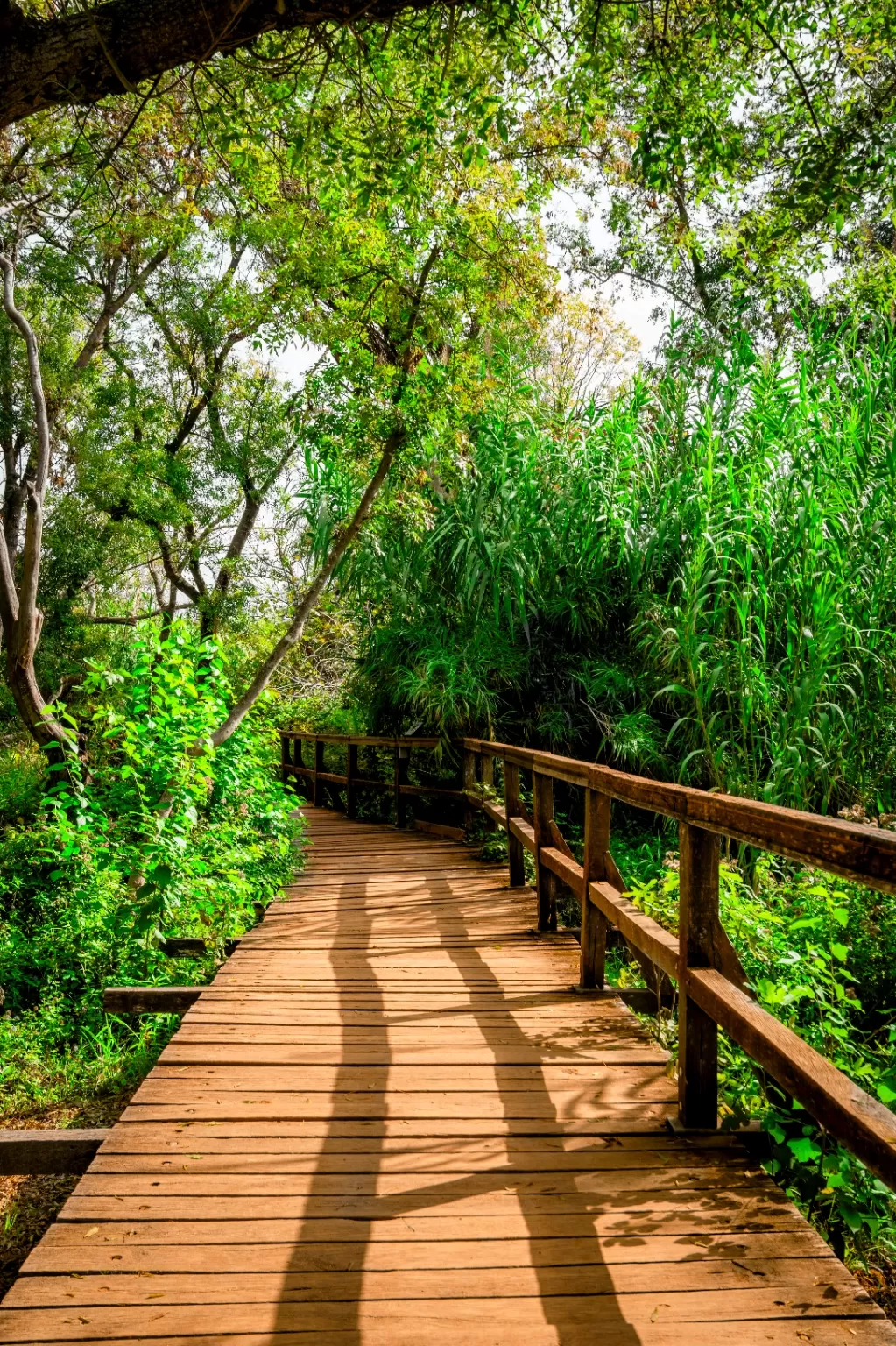 Photo of Krka National Park By Lugdivine Borello