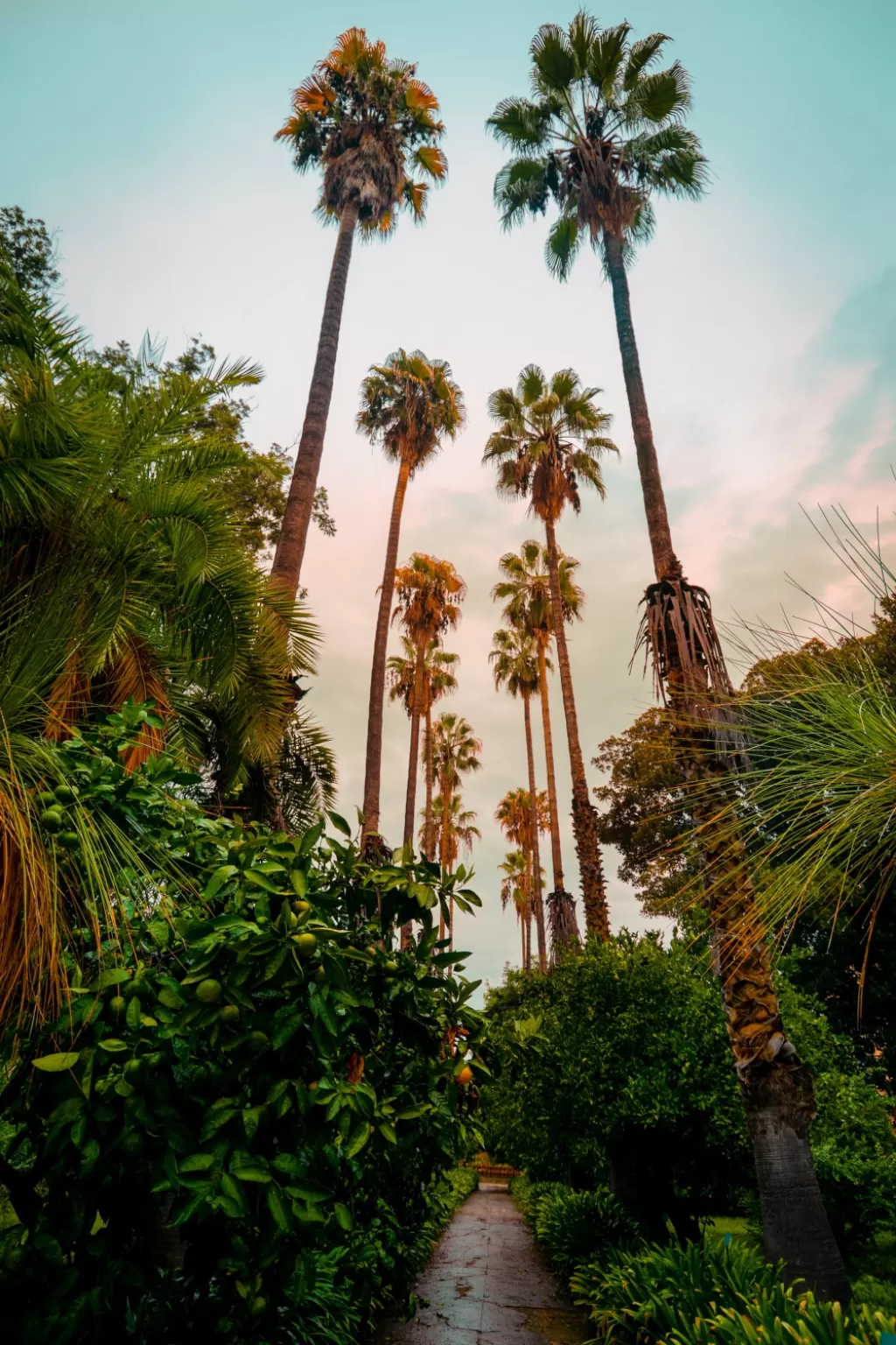 Photo of Palermo By Lugdivine Borello