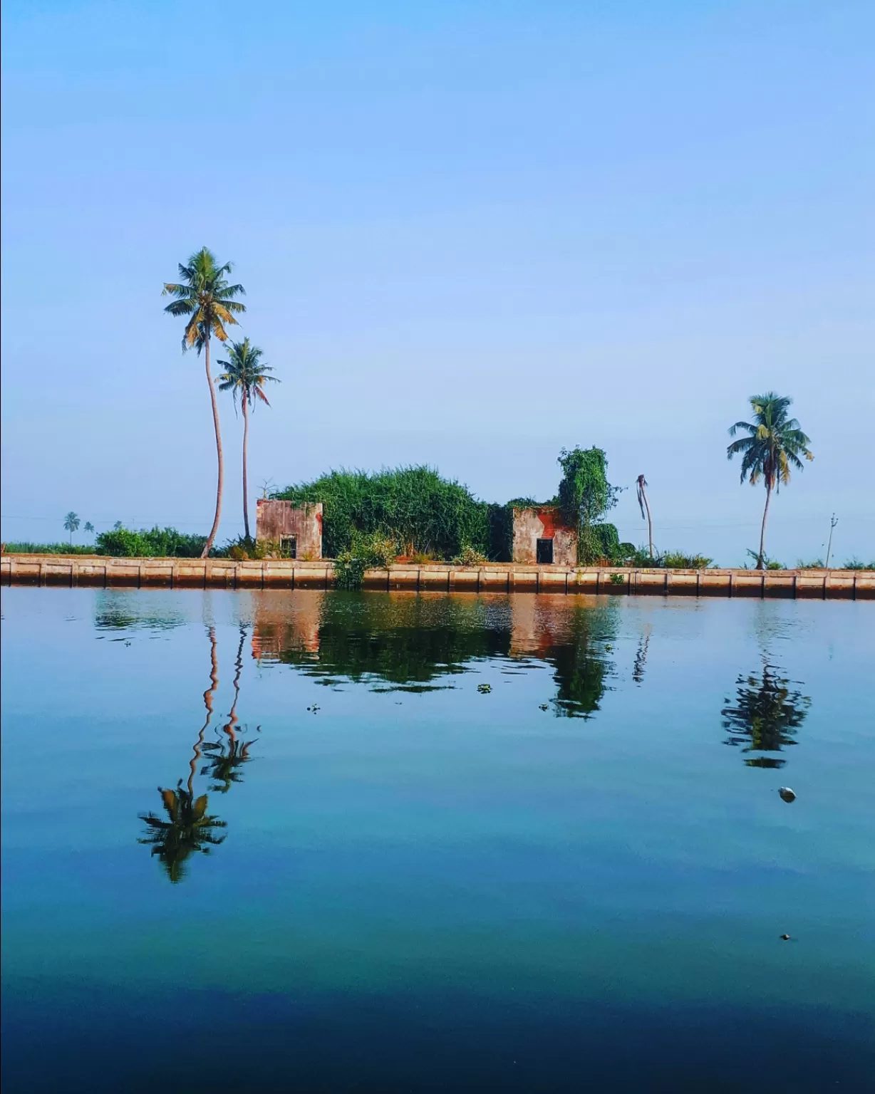 Photo of Alappuzha By kurian john