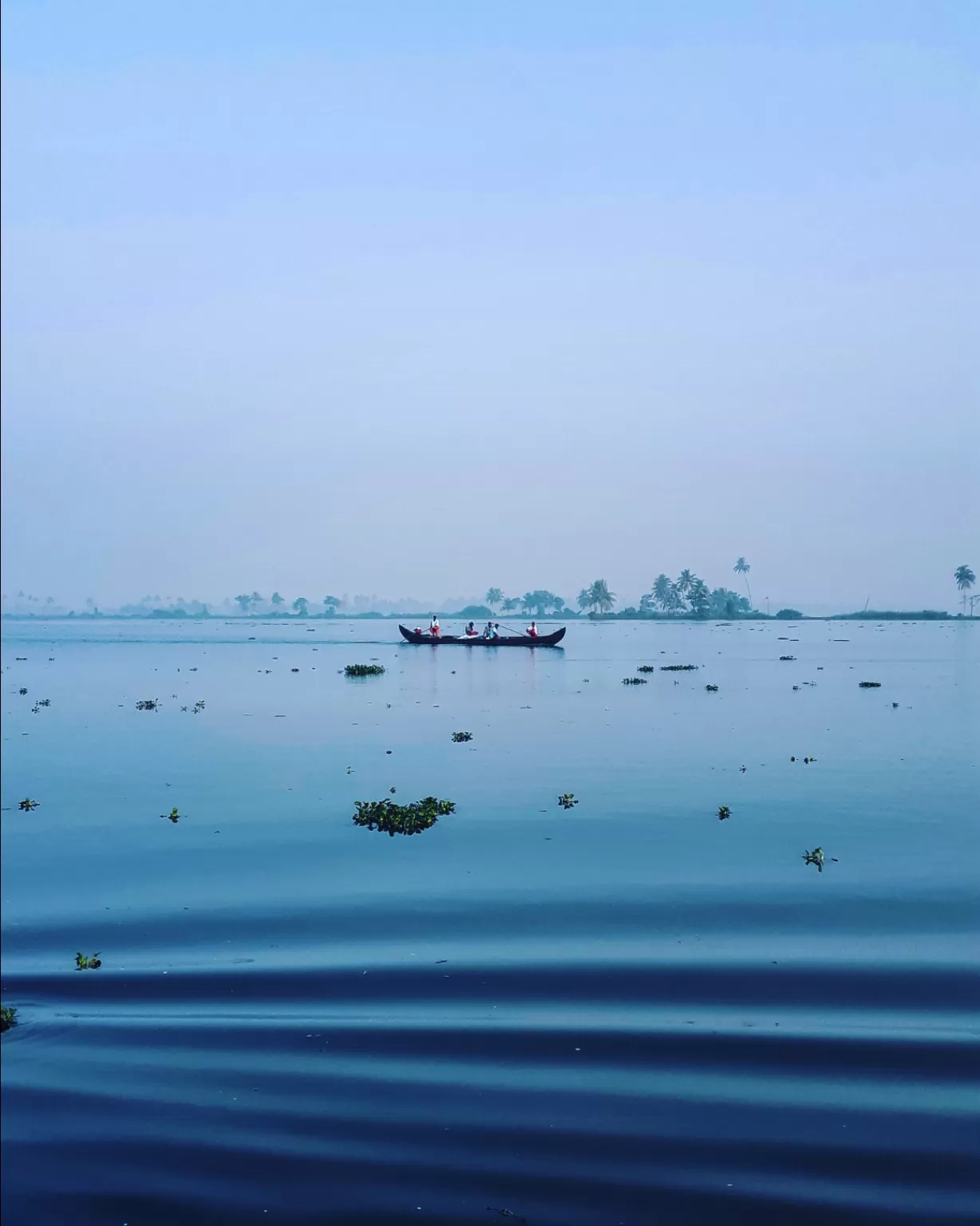 Photo of Alappuzha By kurian john