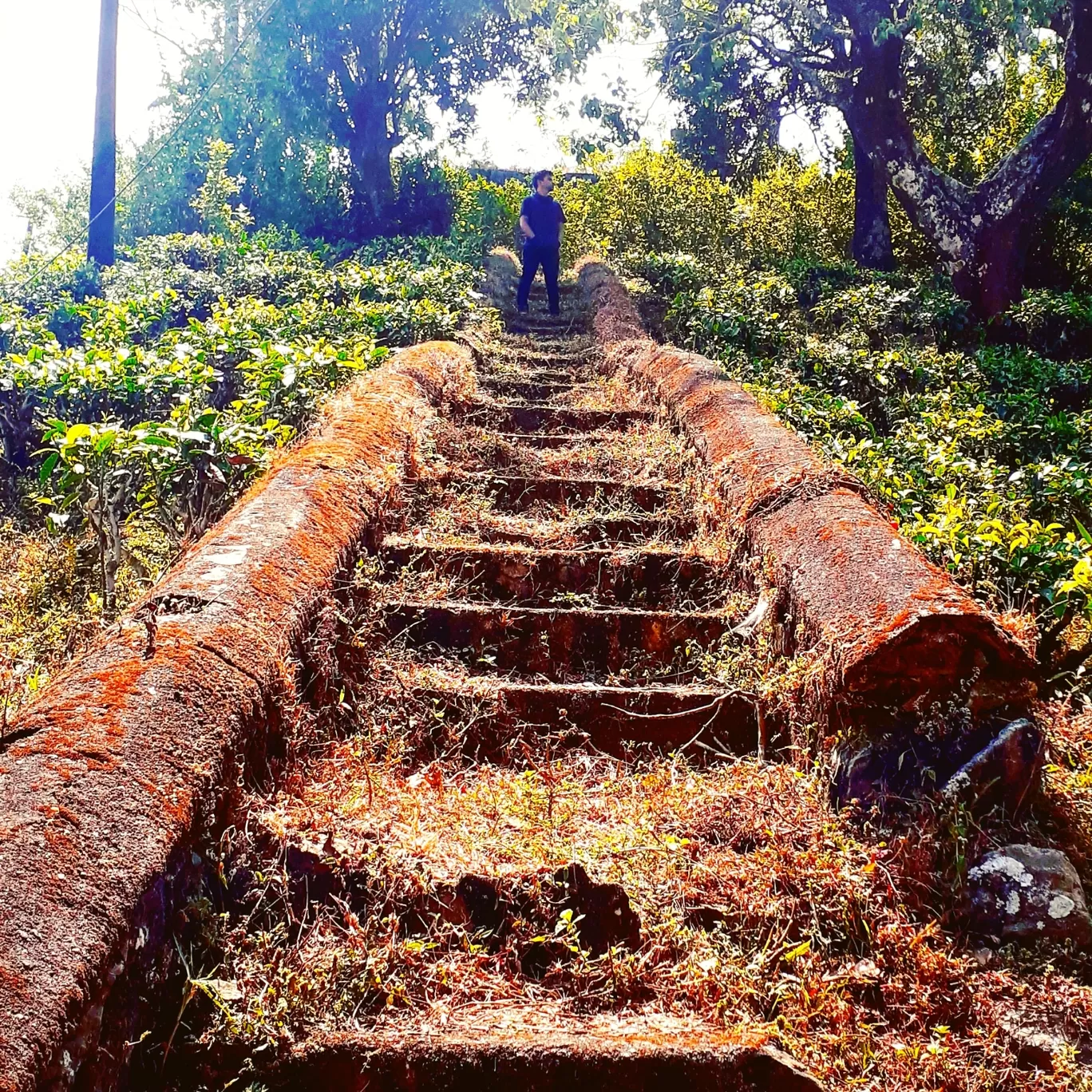 Photo of Kuttikkanam By kurian john