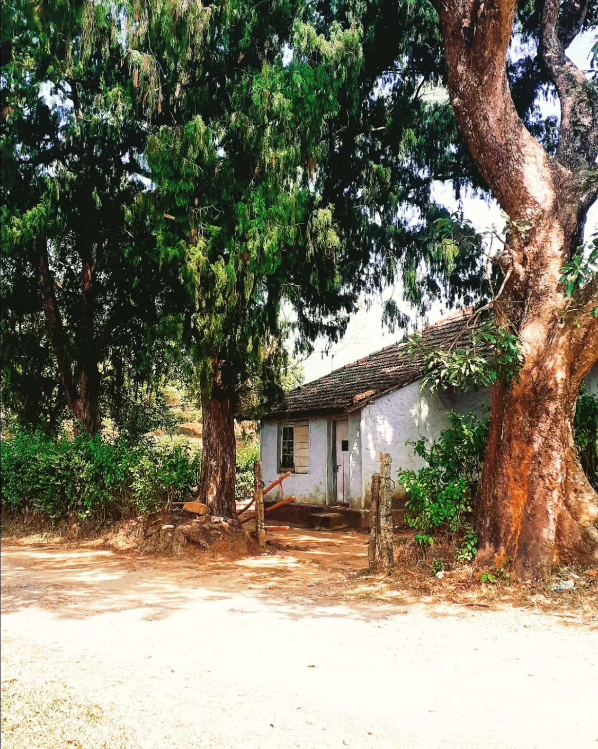 Photo of Kuttikkanam By kurian john