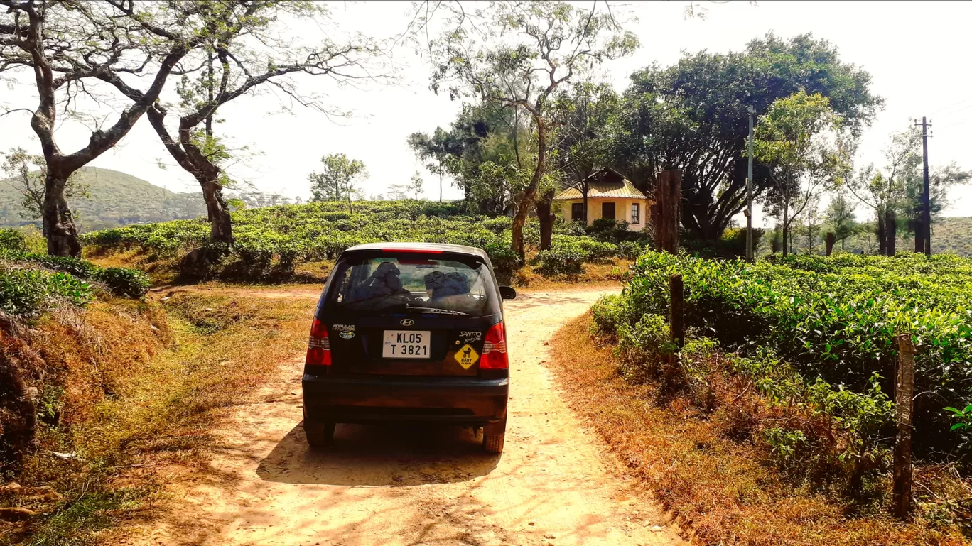 Photo of Kuttikkanam By kurian john