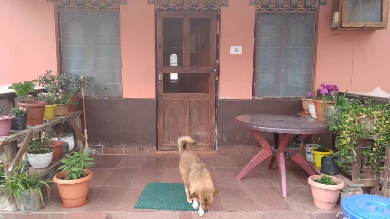 Photo of Paro By Rakesh Das