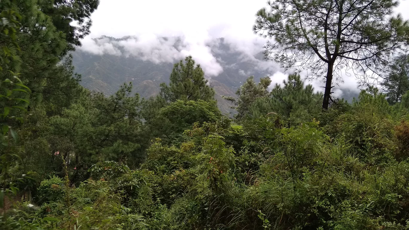 Photo of Shimla By Rakesh Das