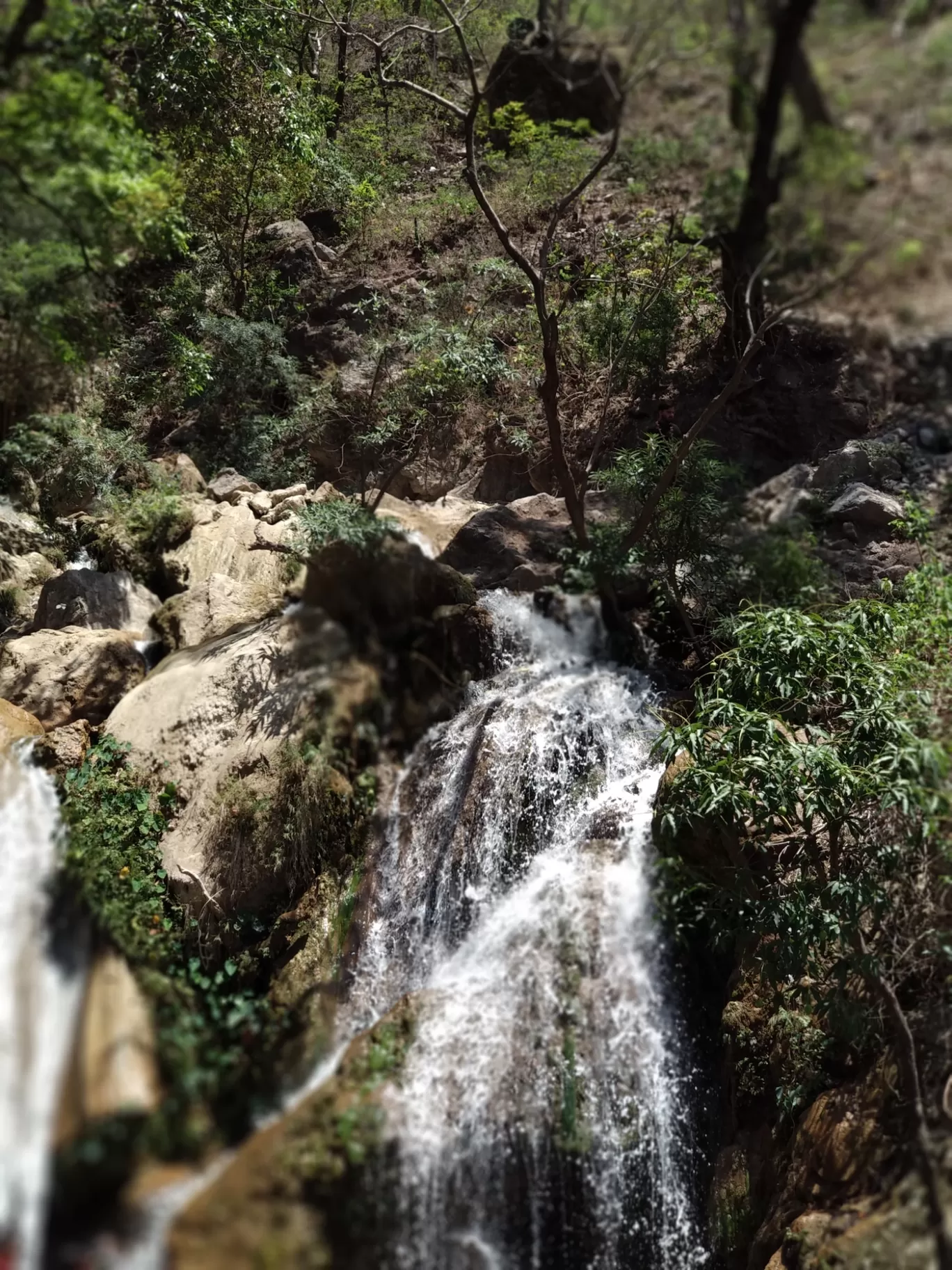 Photo of Rishikesh By Akshay Vyas