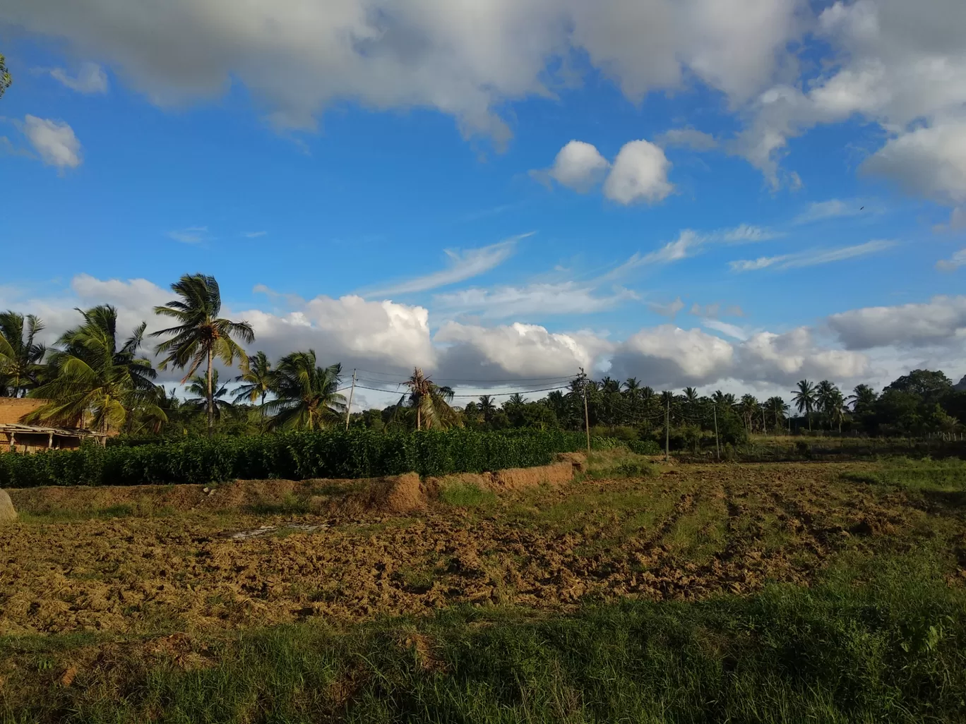 Photo of Kanakapura Road By Akshay Vyas