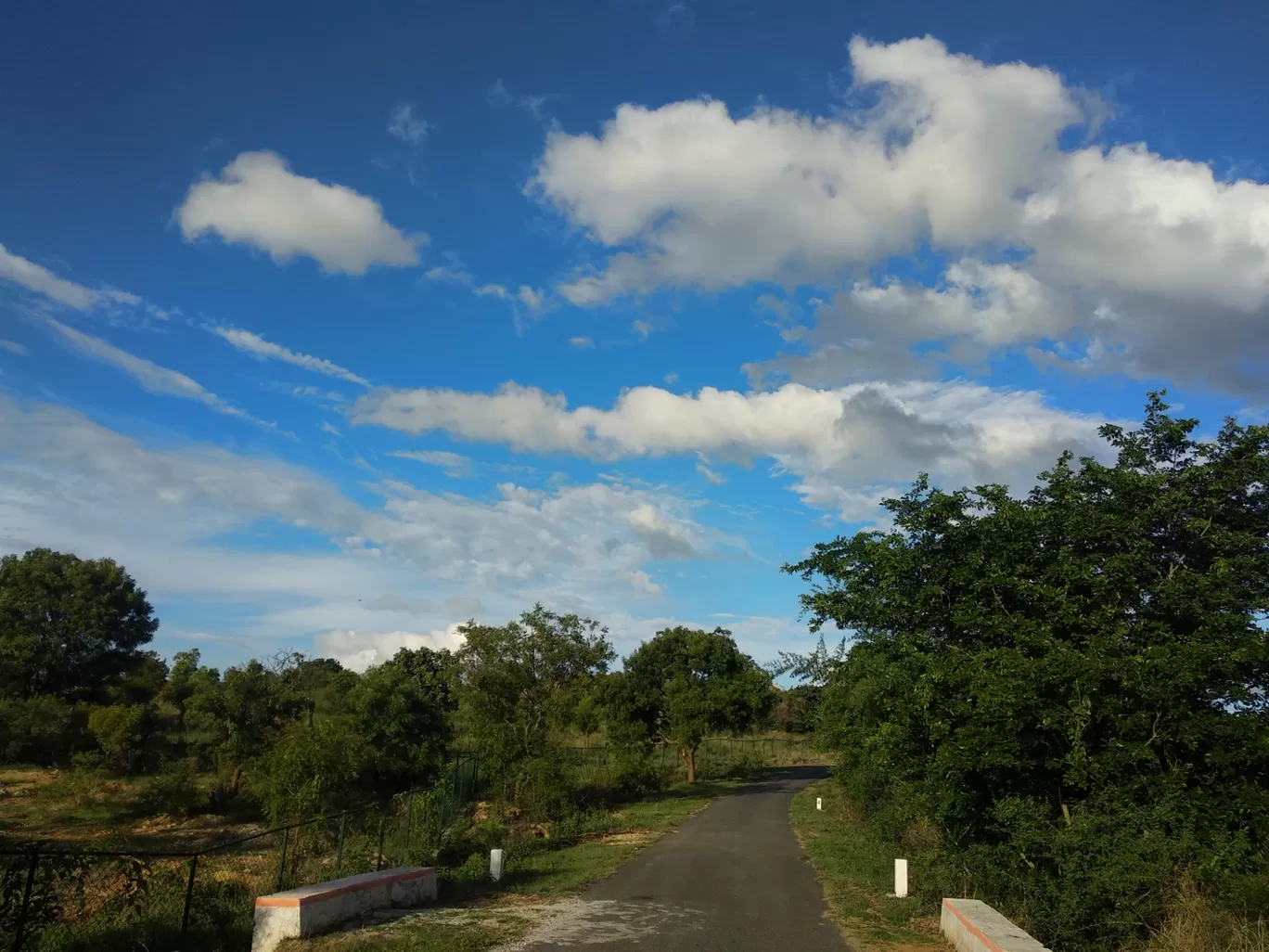 Photo of Kanakapura Road By Akshay Vyas