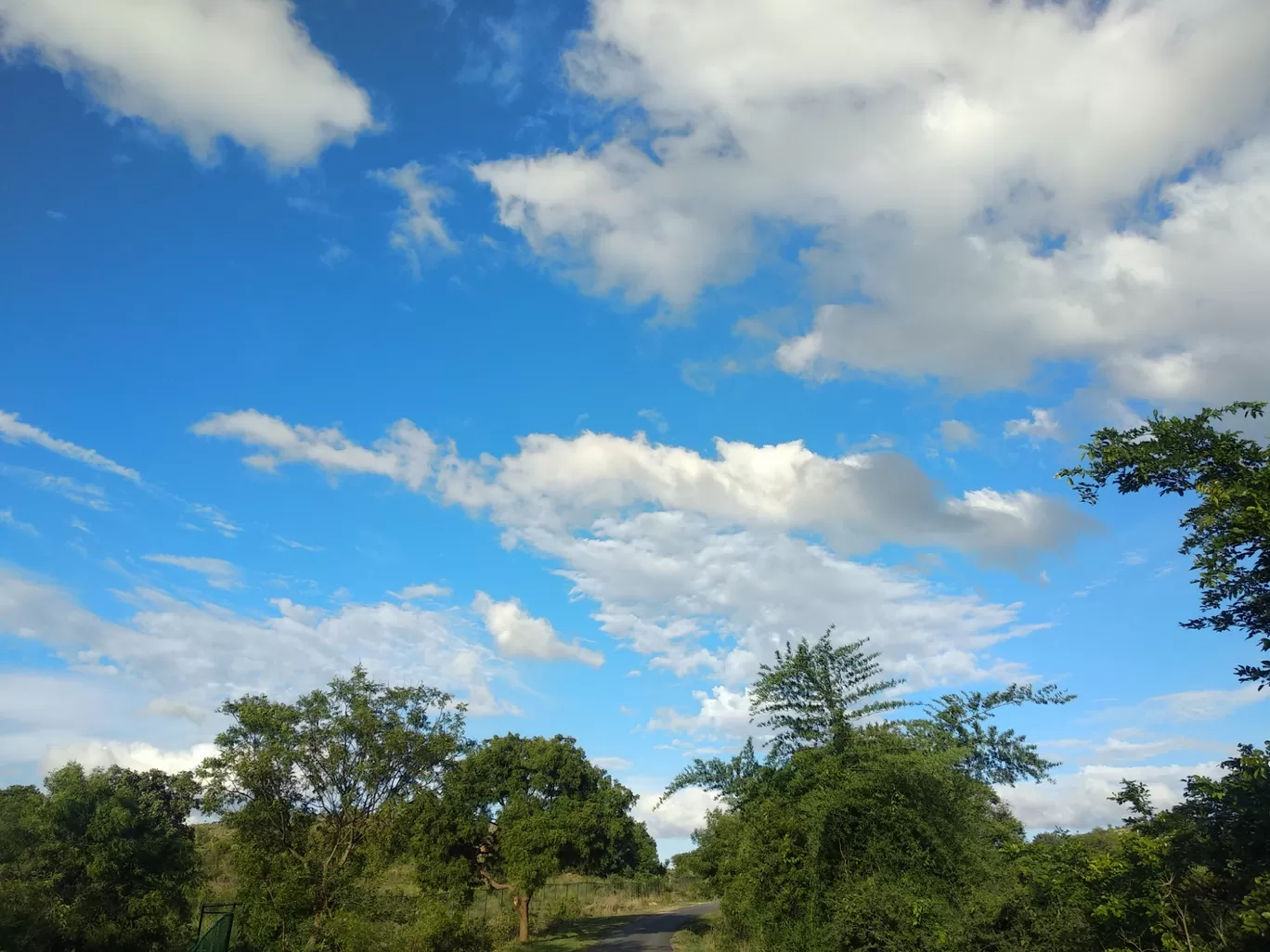 Photo of Kanakapura Road By Akshay Vyas