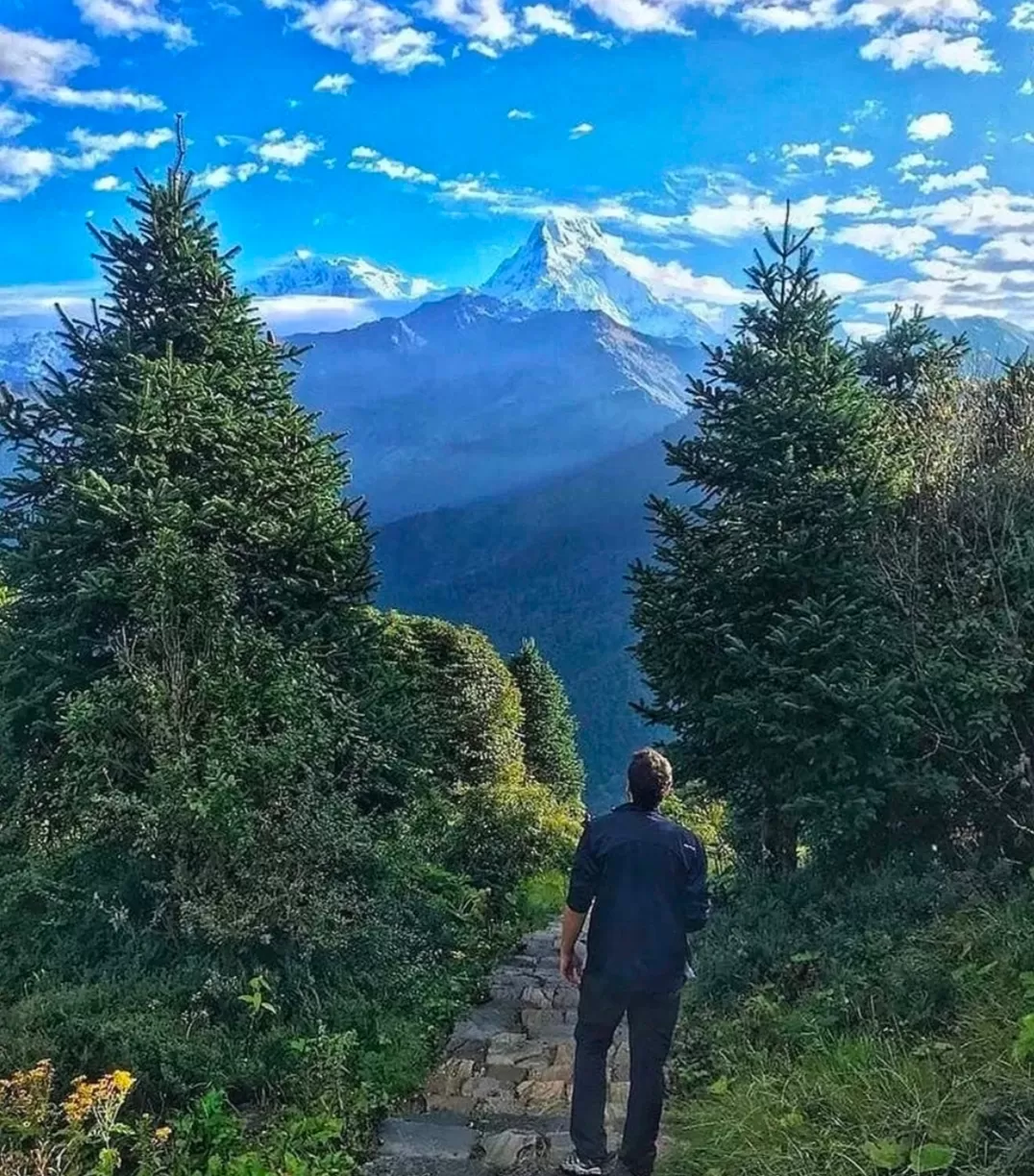 Photo of Annapurna Base Camp Trek By Richie D'souza