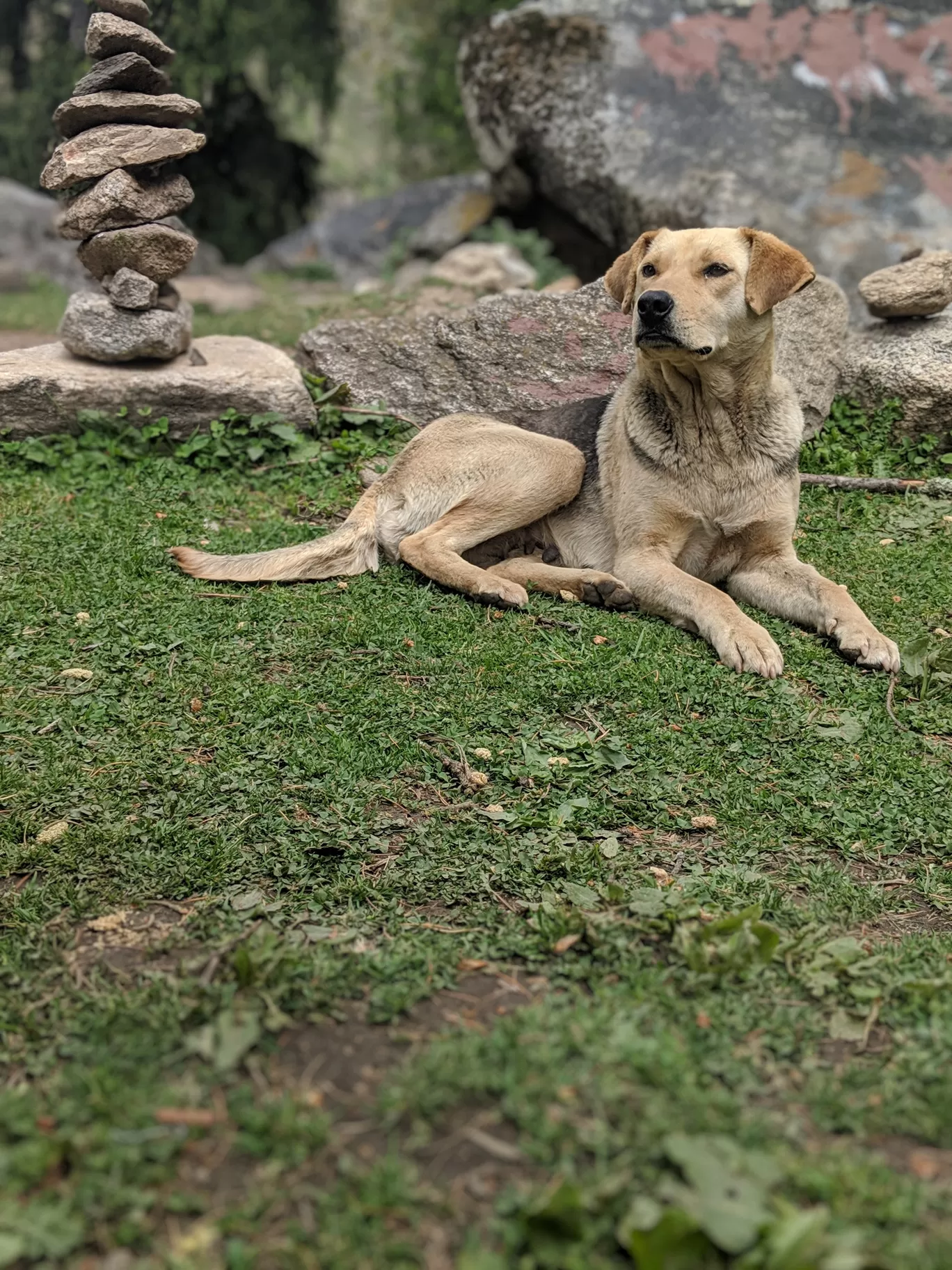 Photo of Dhar Kalga Patan By mittali