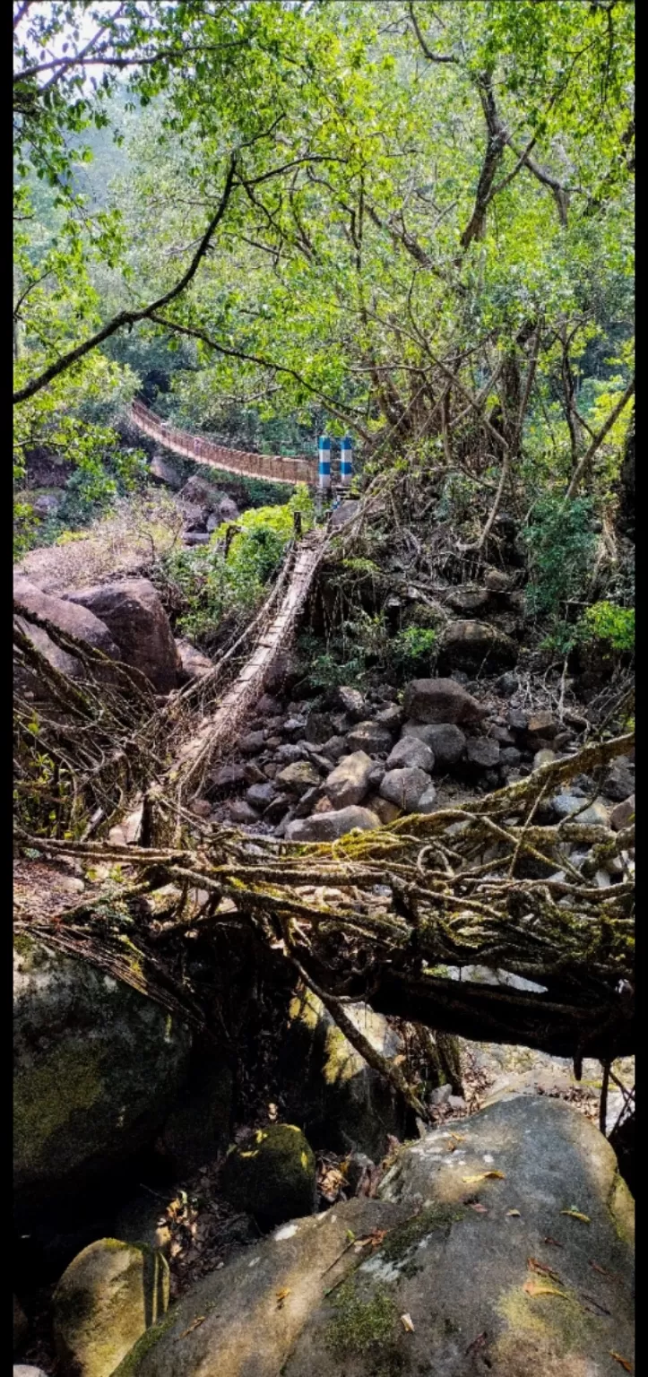 Photo of Cherrapunji‎ By Muskan Agarwal