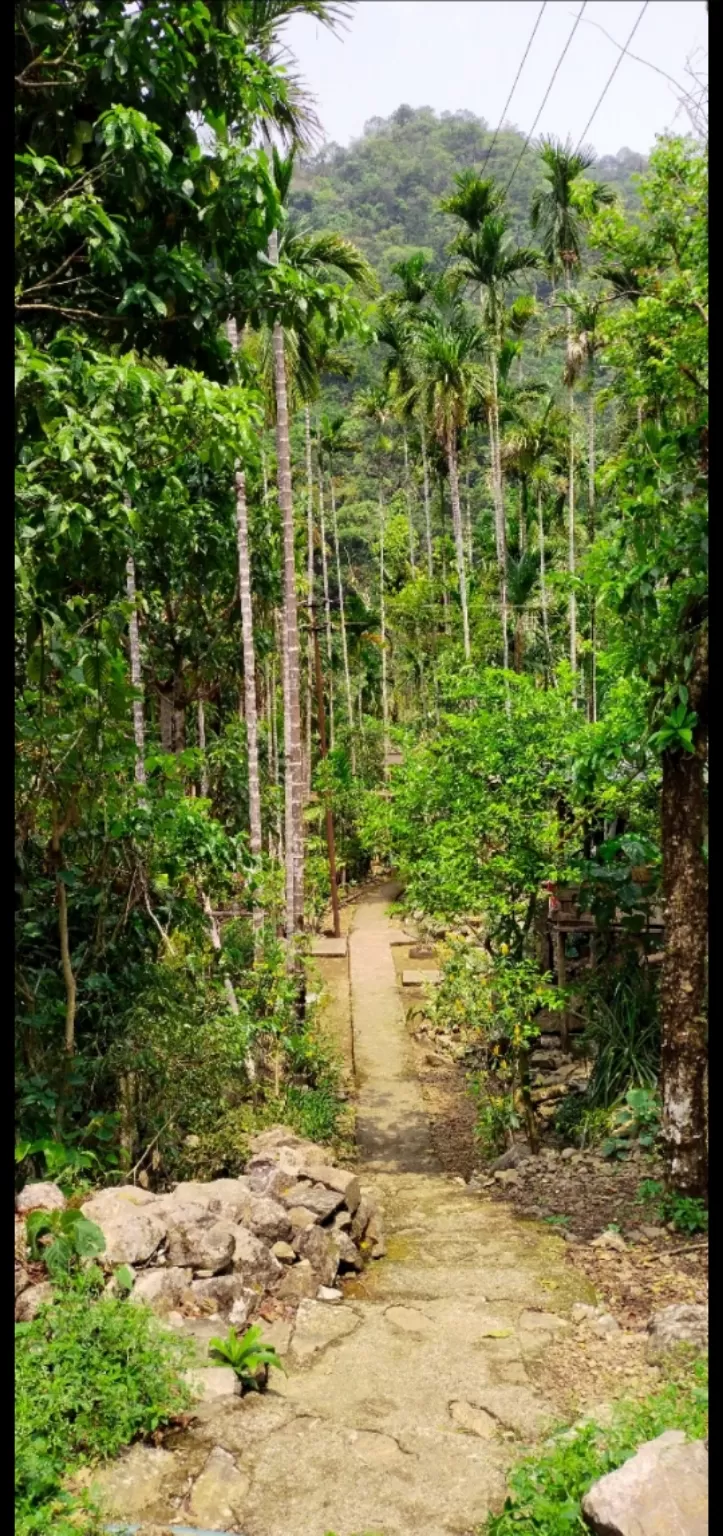 Photo of Cherrapunji‎ By Muskan Agarwal