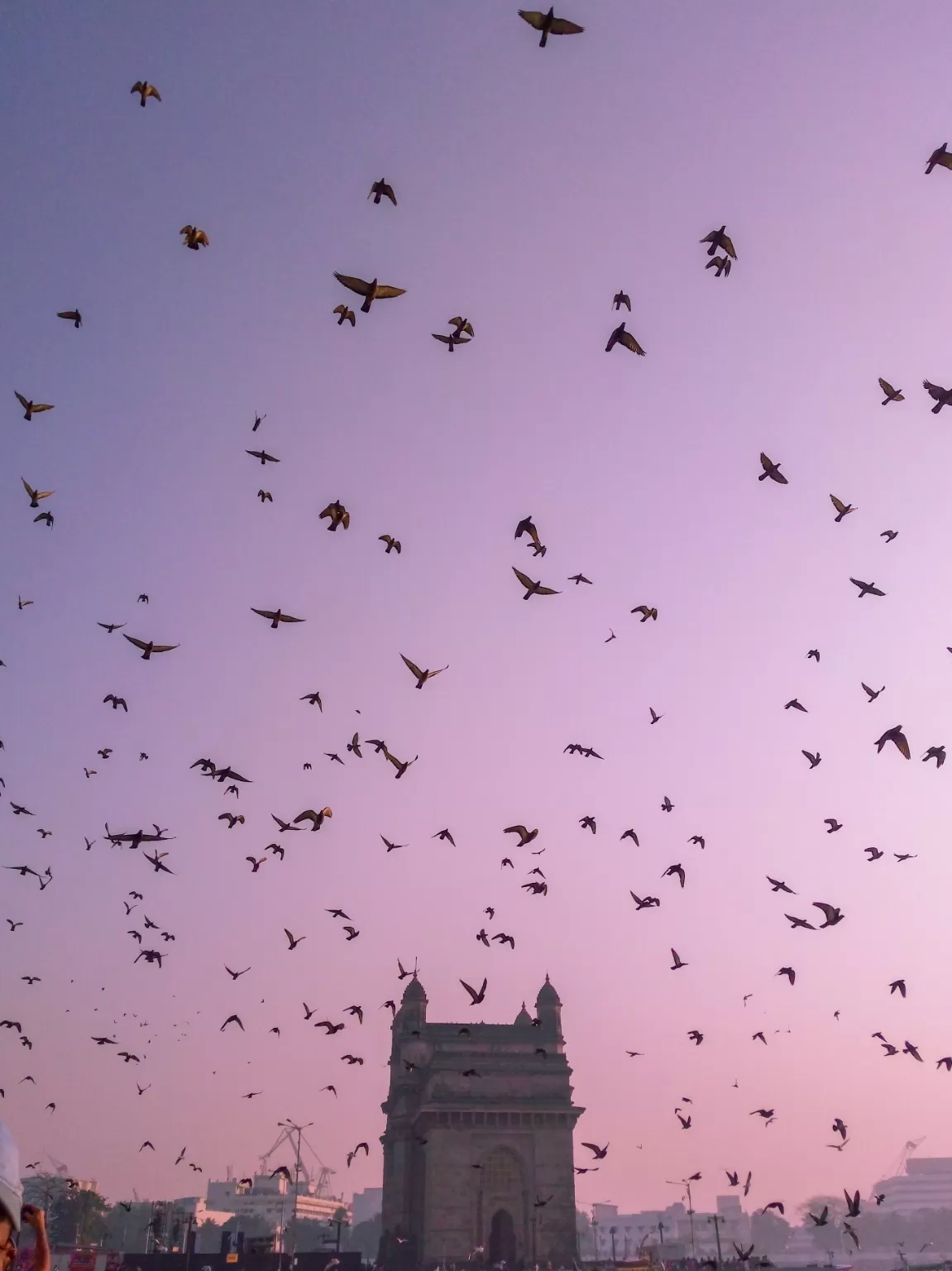 Photo of Gateway of India By Chalta_firta_photographer