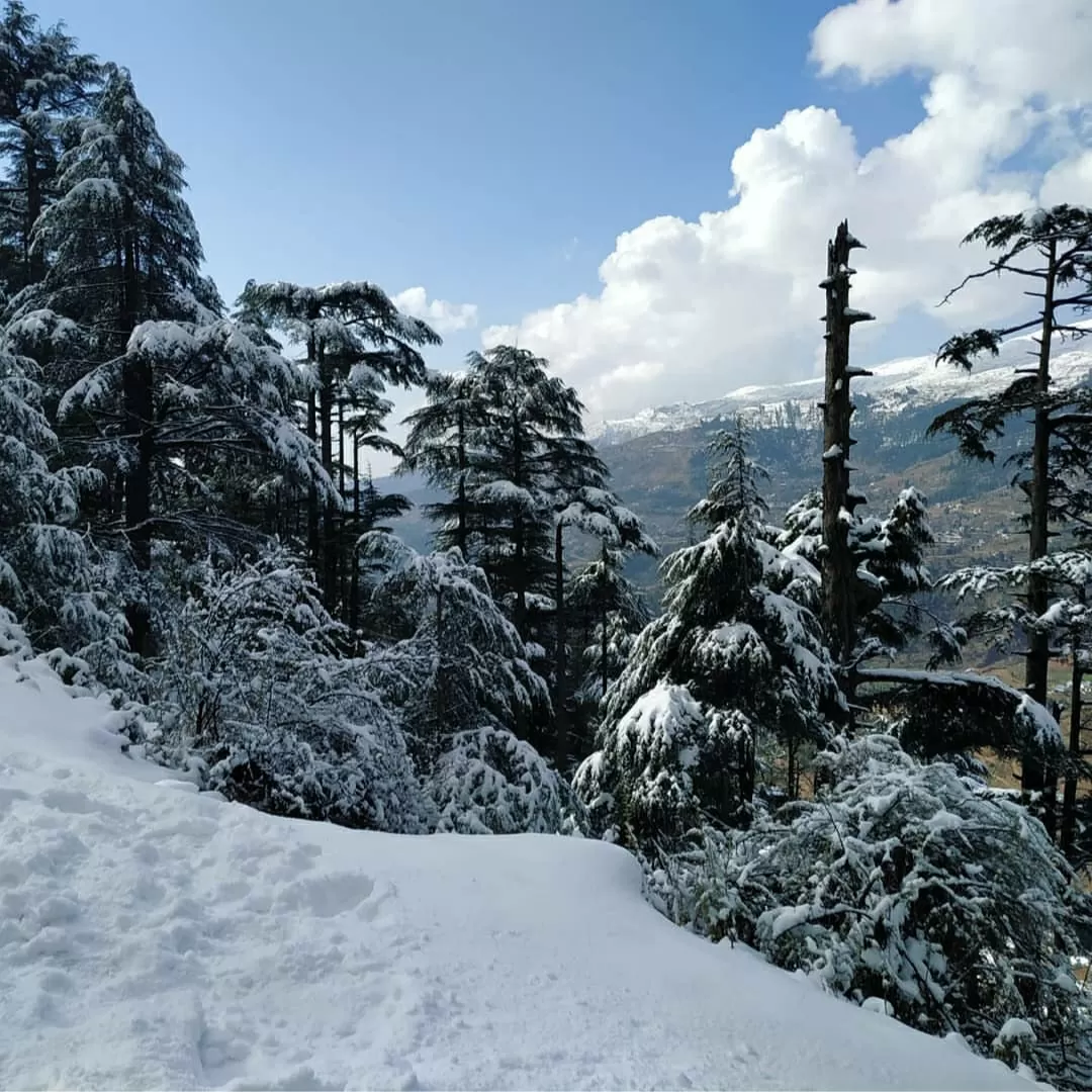 Photo of Patnitop By Himanshu Prasad