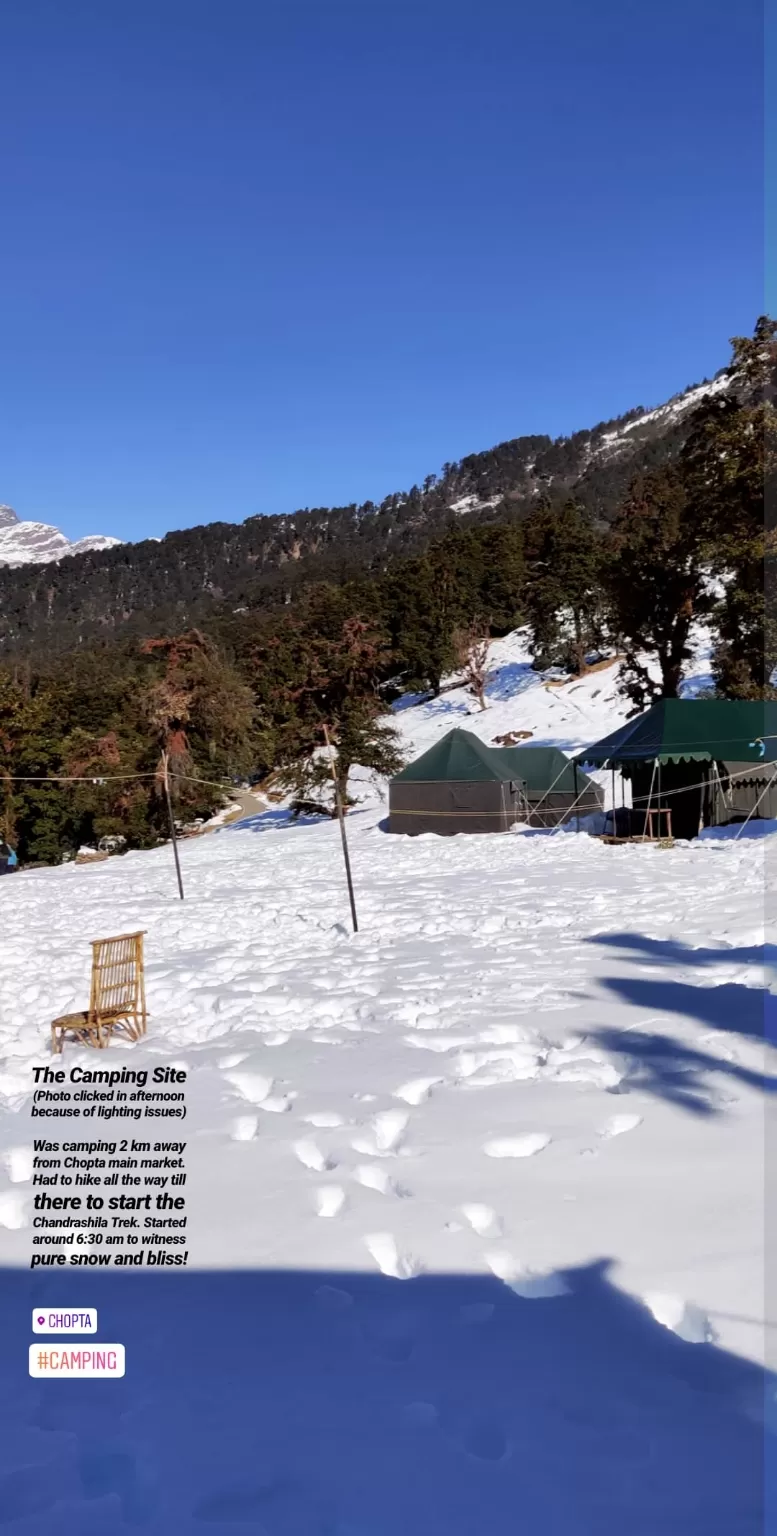 Photo of Chopta Tungnath Chandrashila Trekking By kriti