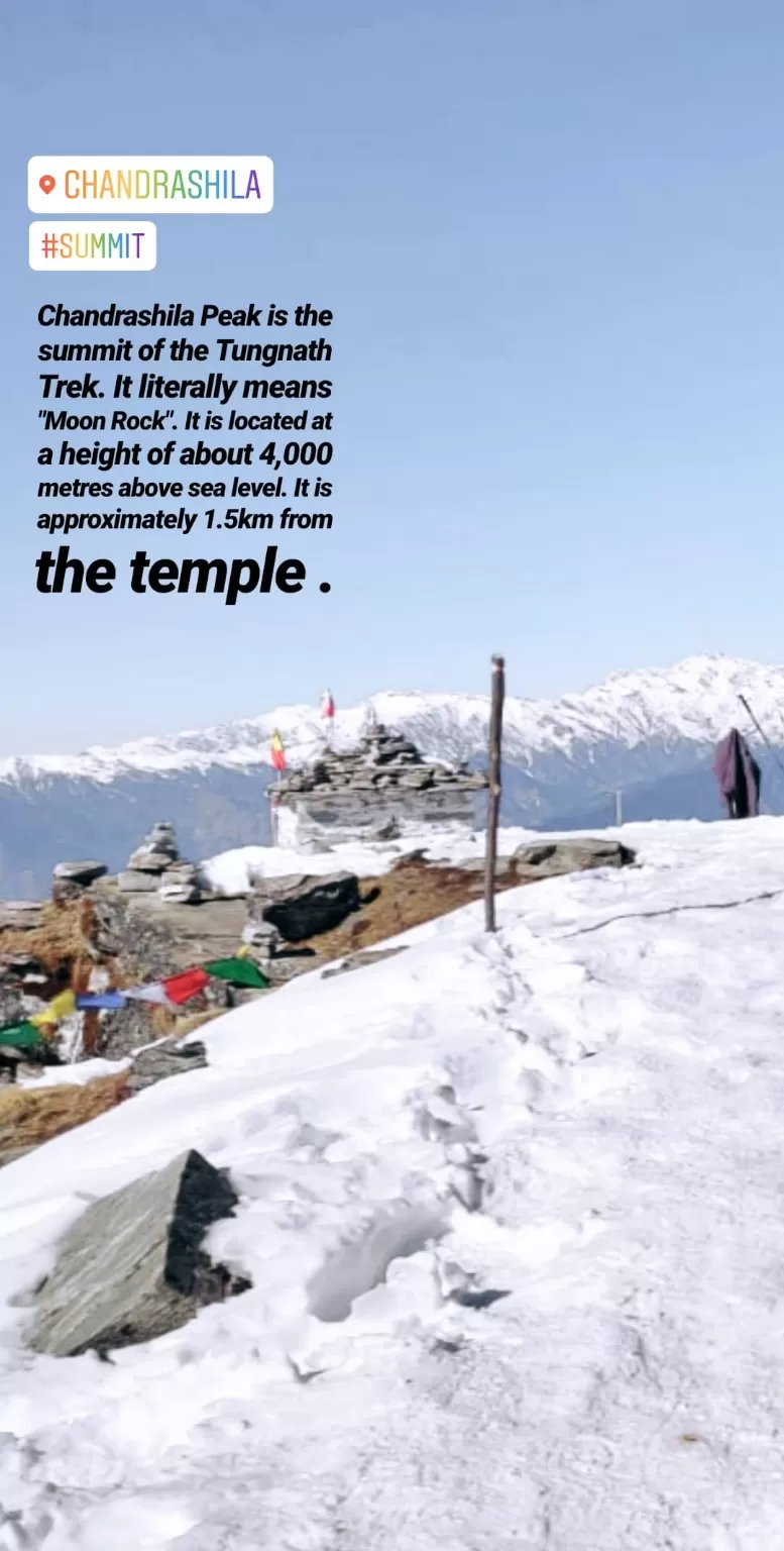 Photo of Chopta Tungnath Chandrashila Trekking By kriti