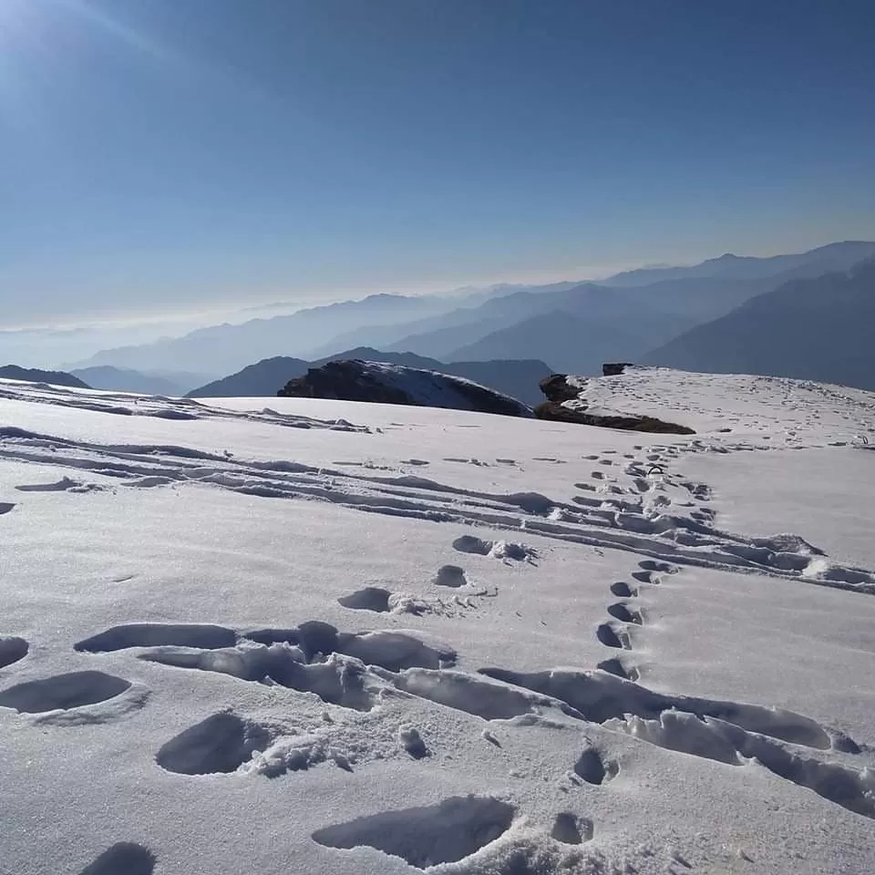 Photo of Chopta Tungnath Chandrashila Trekking By Shashank Singh