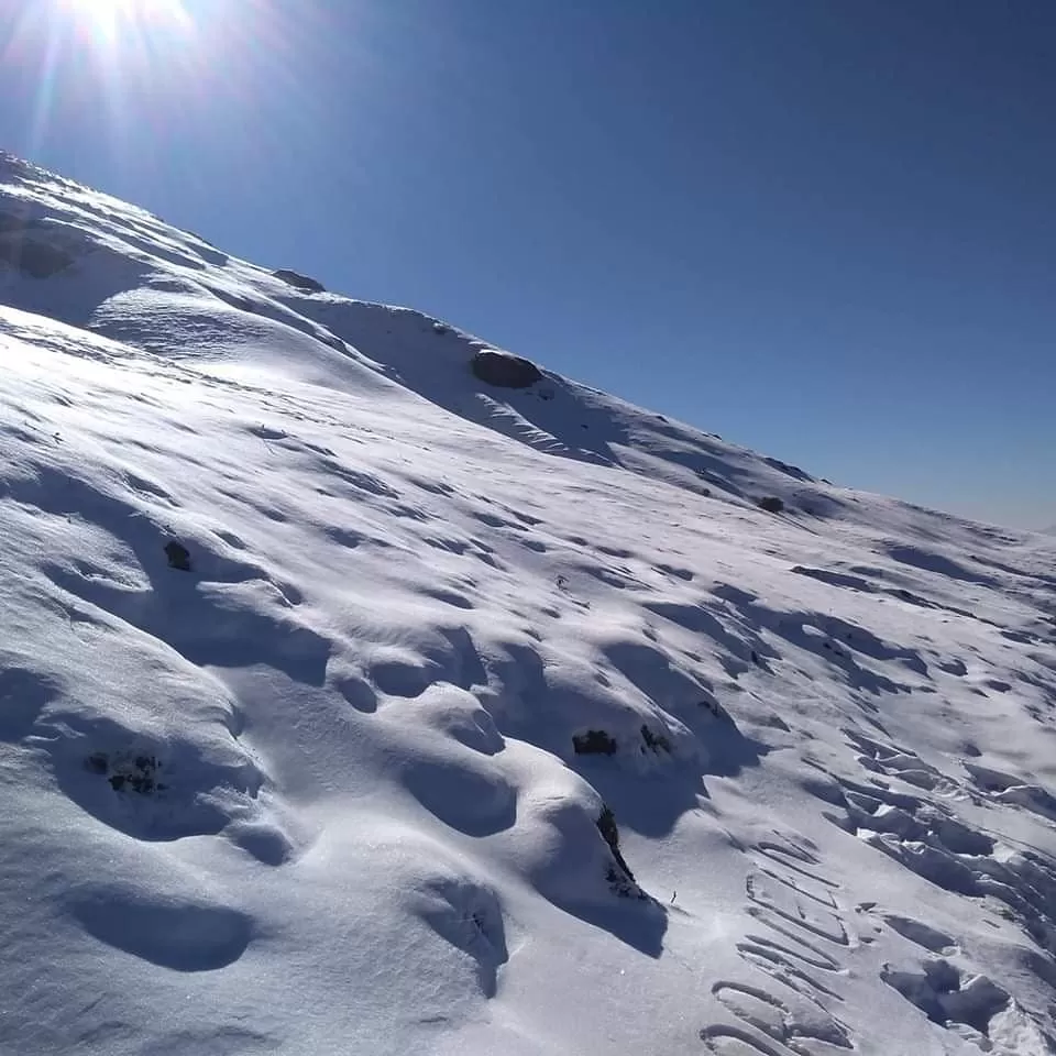 Photo of Chopta Tungnath Chandrashila Trekking By Shashank Singh