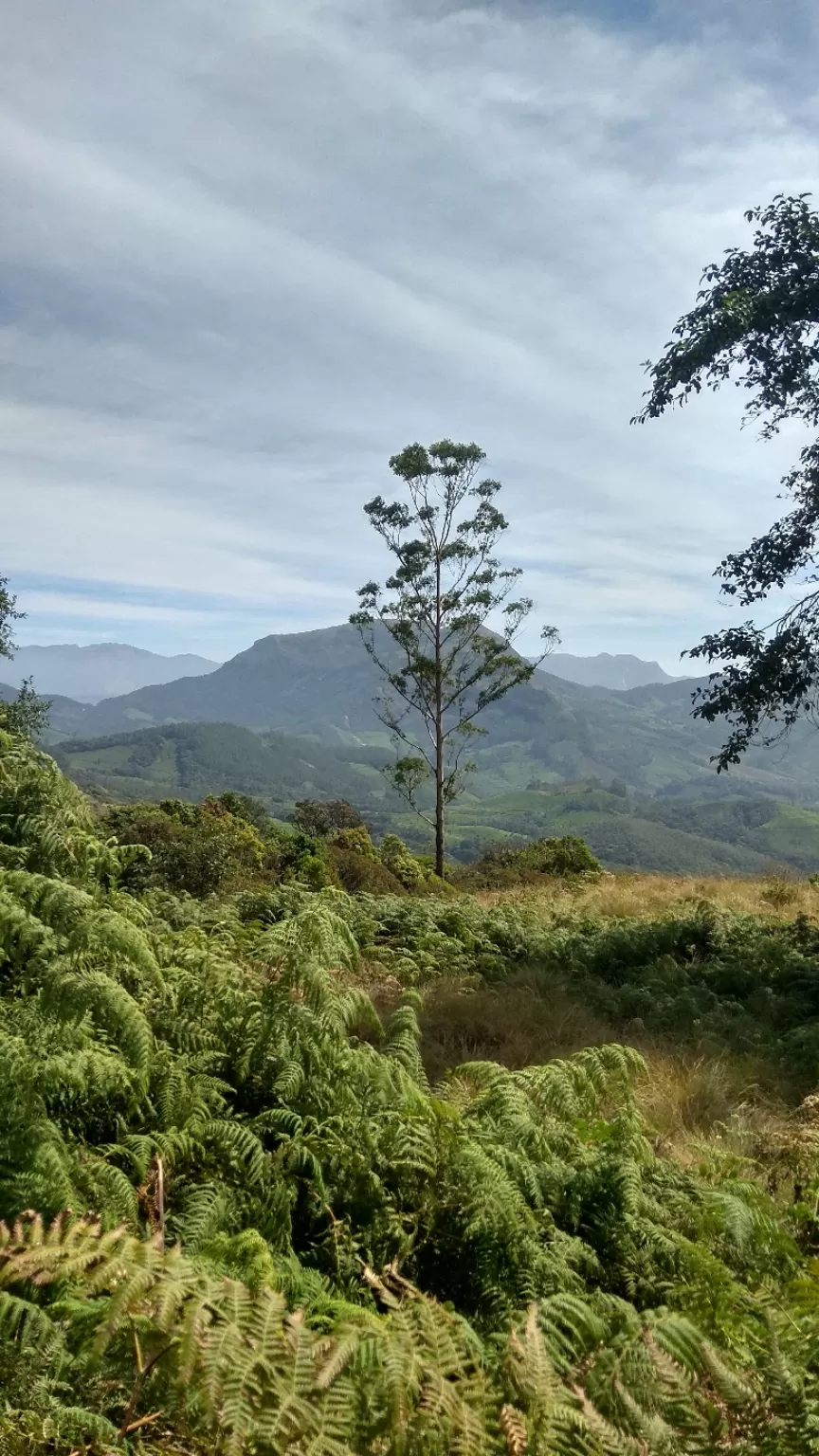 Photo of Munnar By ADHUL S.V