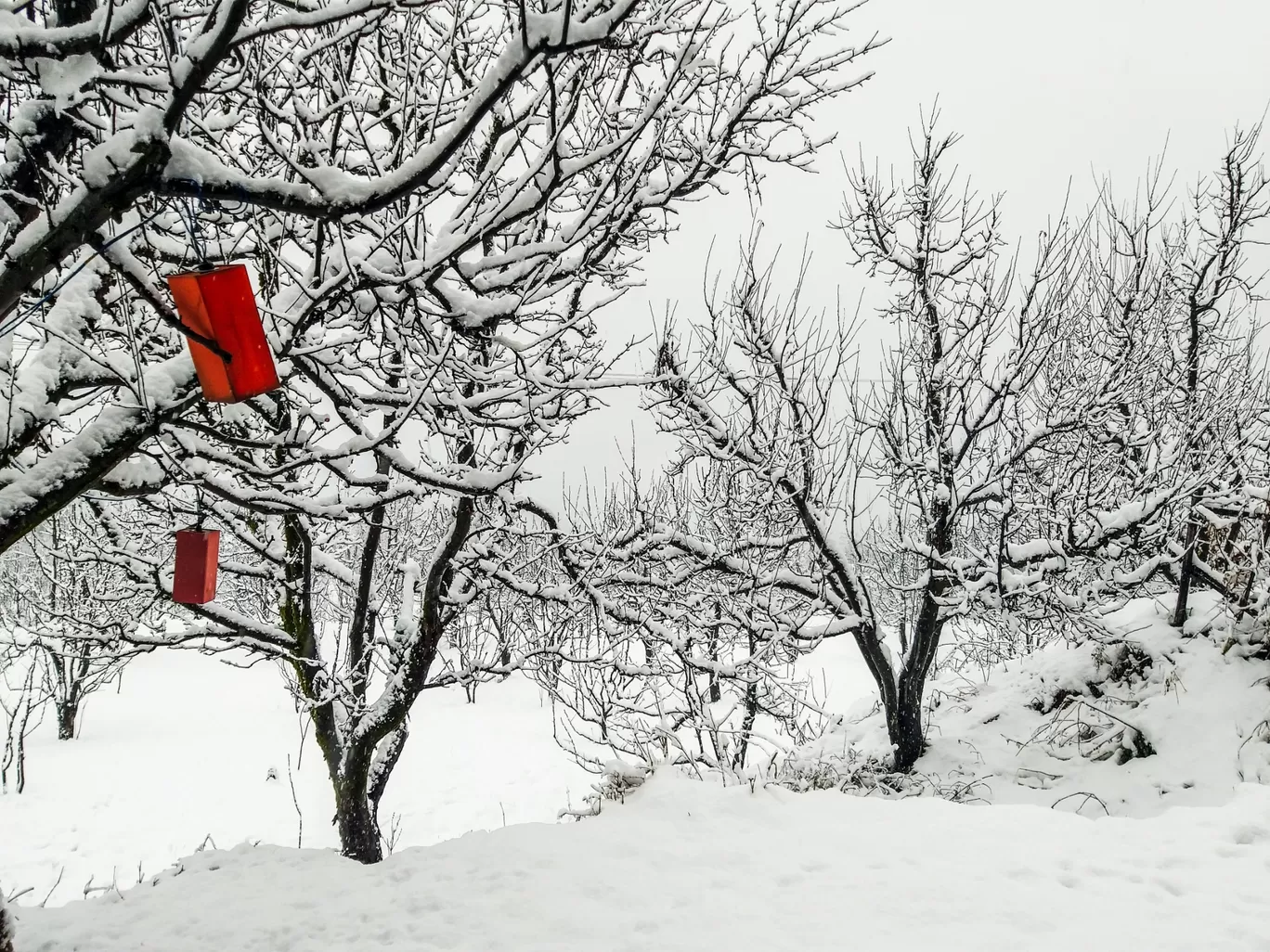 Photo of Himachal Pradesh By Harsha Th