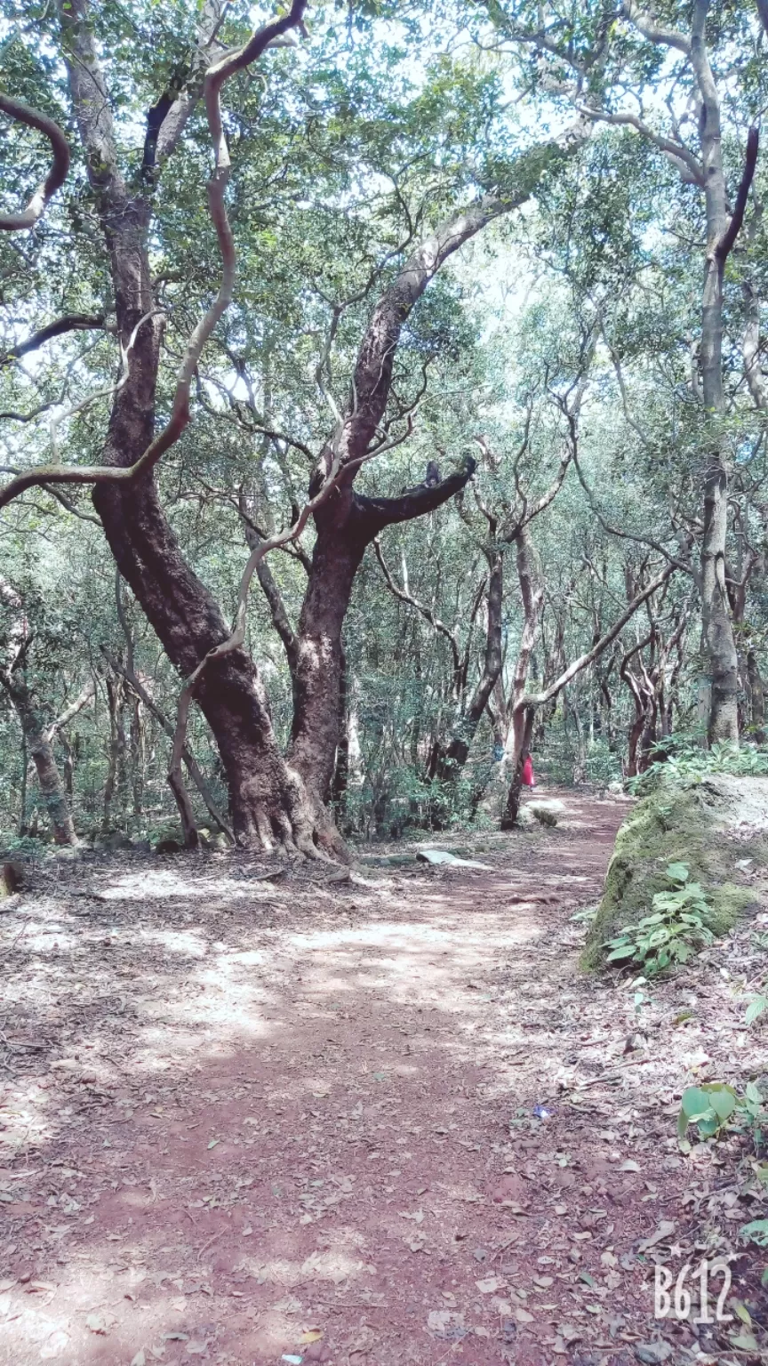 Photo of Matheran By Mustafa Mirza