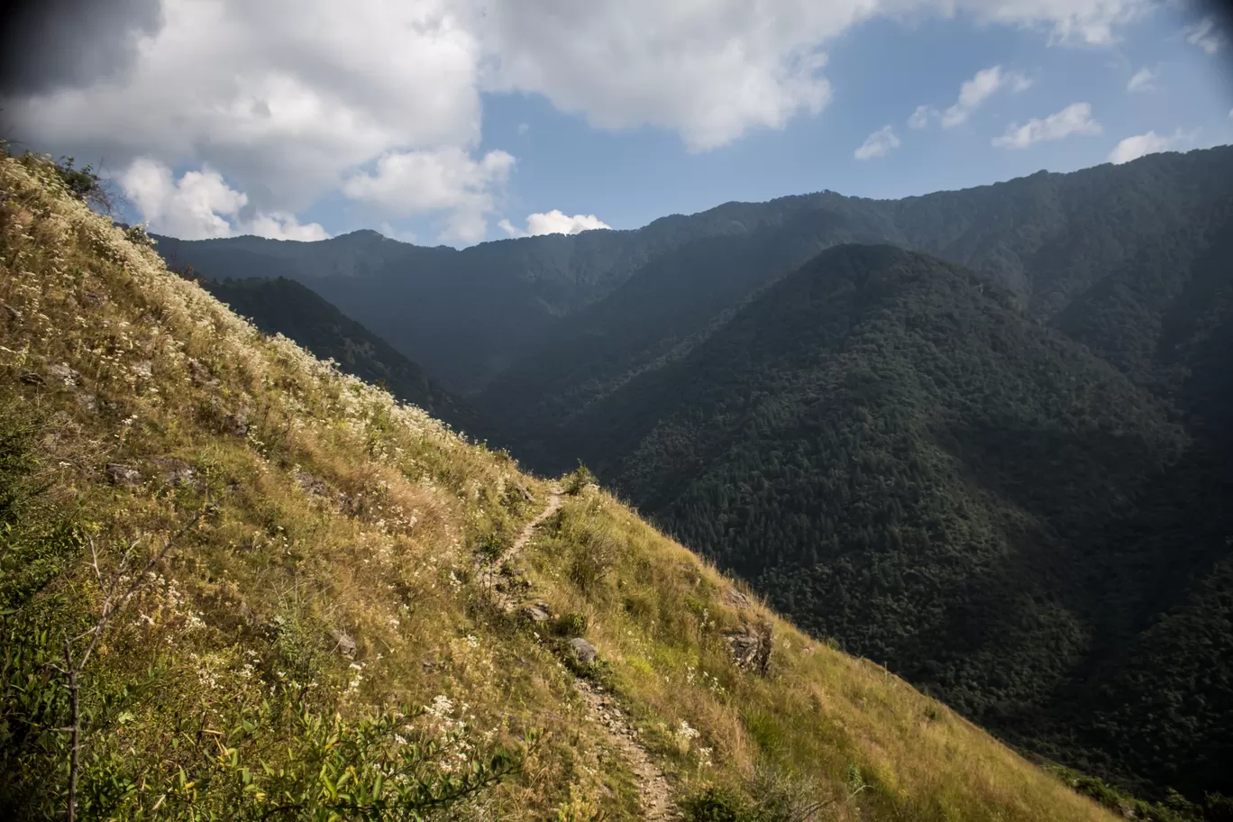Photo of Nag Tibba Trek By Puneet Garg