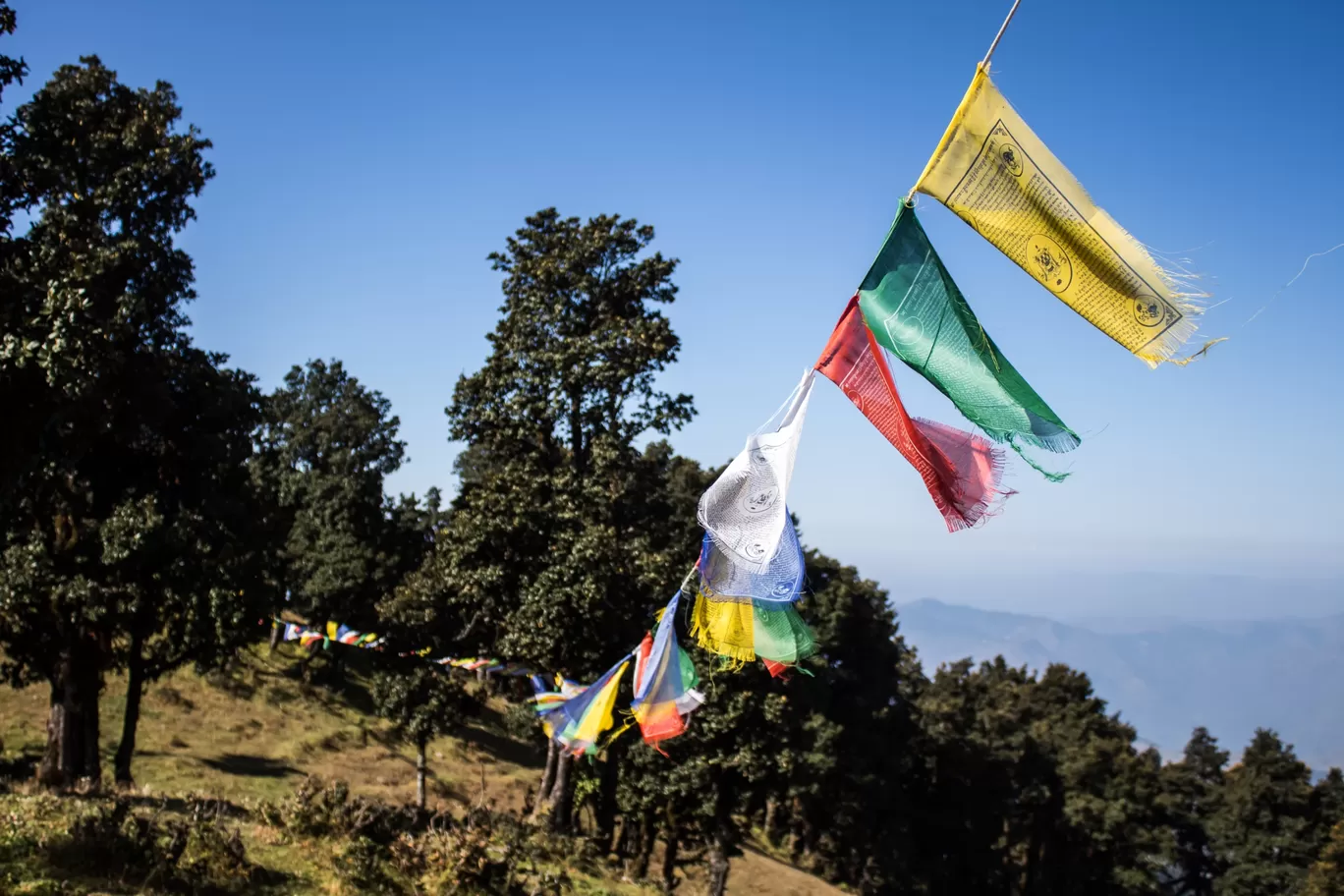Photo of Nag Tibba Trek By Puneet Garg