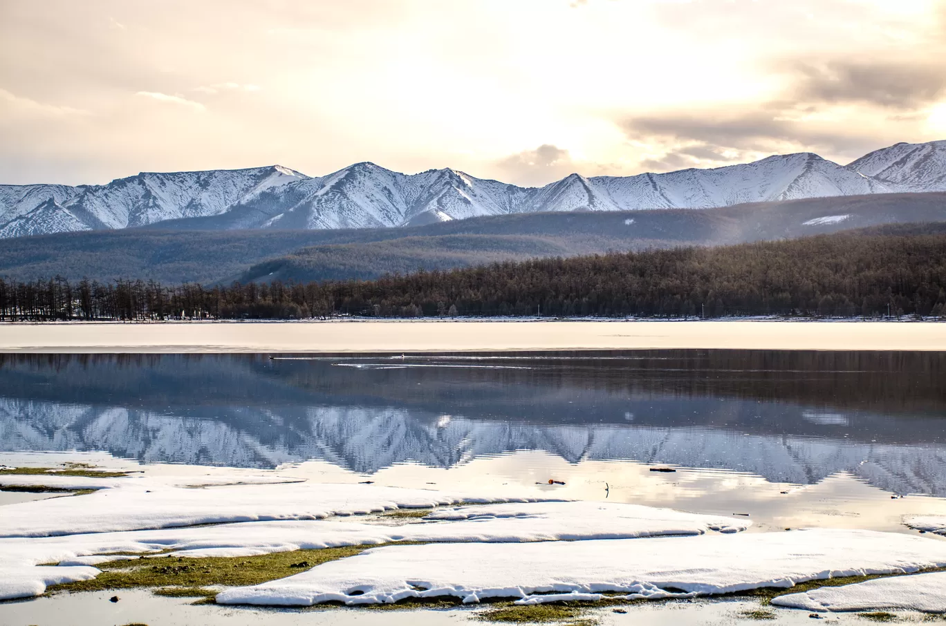 Photo of Mongolia By Jyoti Patil