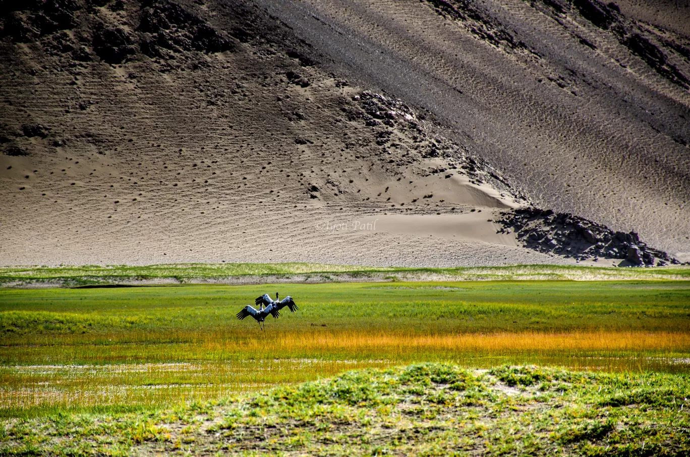 Photo of Ladakh By Jyoti Patil