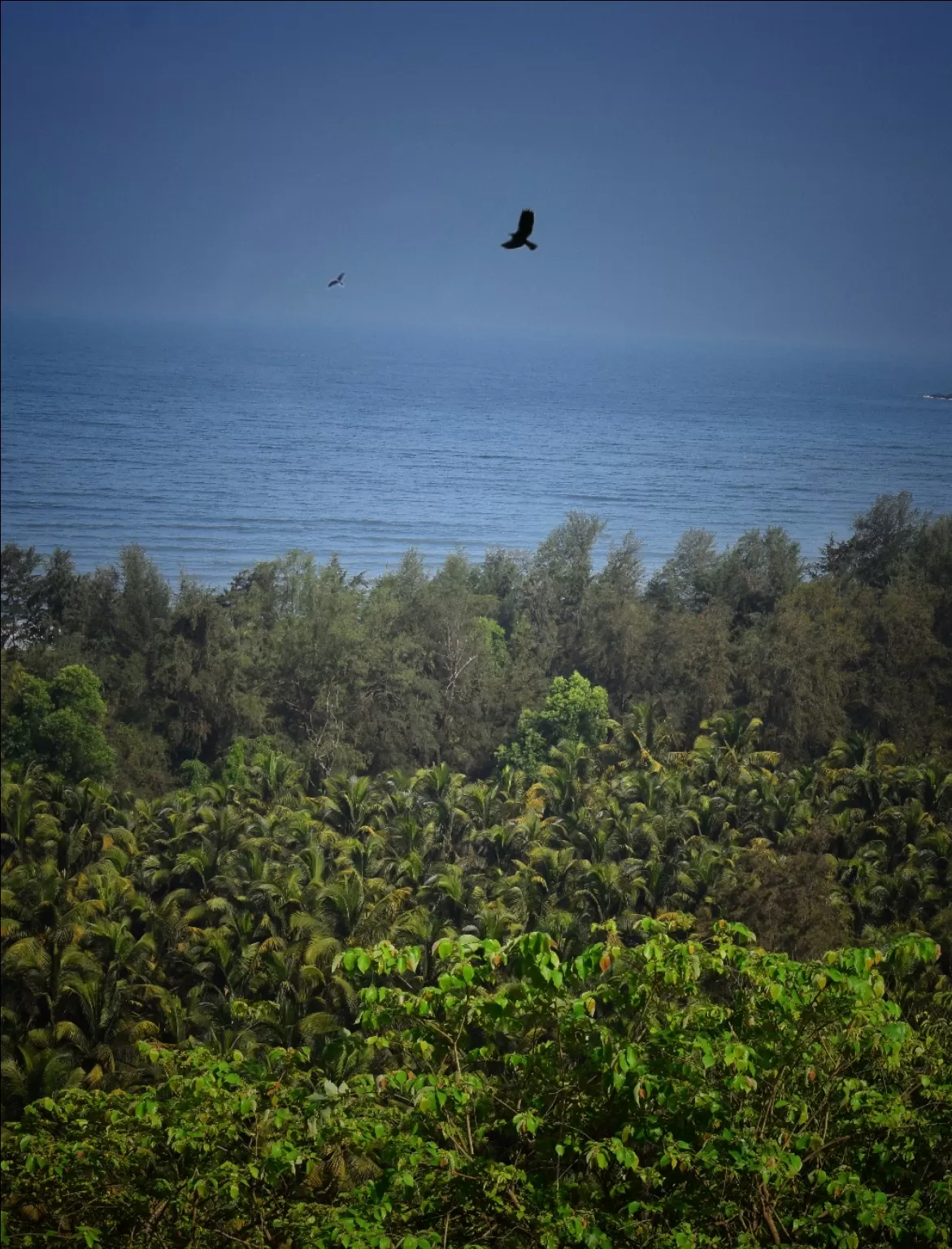 Photo of Kohinoor Samudra Beach Resort By the_millionth_neha