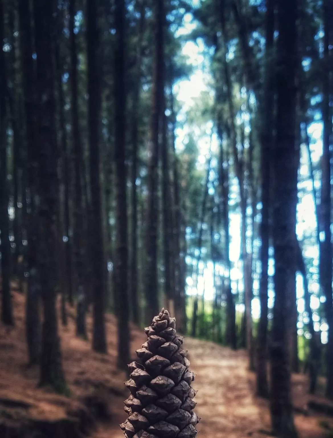 Photo of Vagamon By Angel Samuel