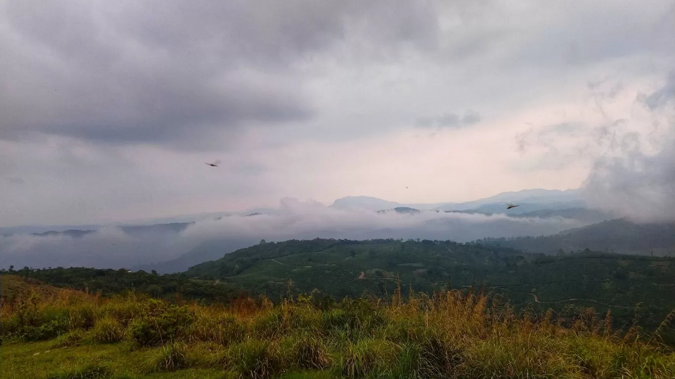 Photo of Vagamon By Angel Samuel