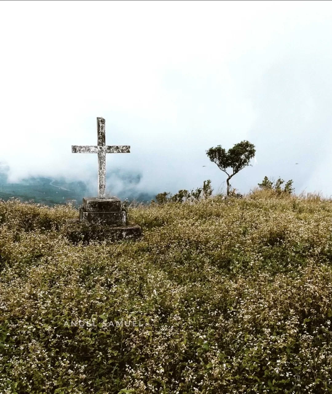 Photo of Vagamon By Angel Samuel