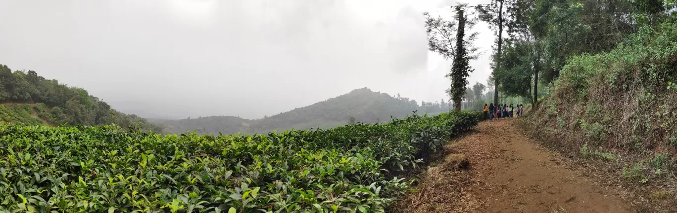 Photo of Kerala By Lj Hiremath