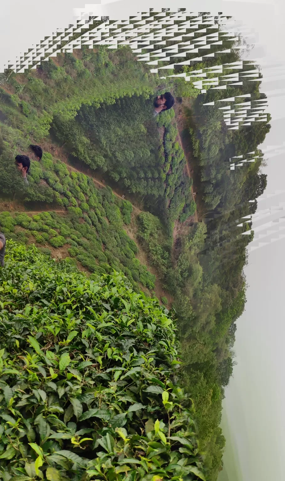 Photo of Kerala By Lj Hiremath
