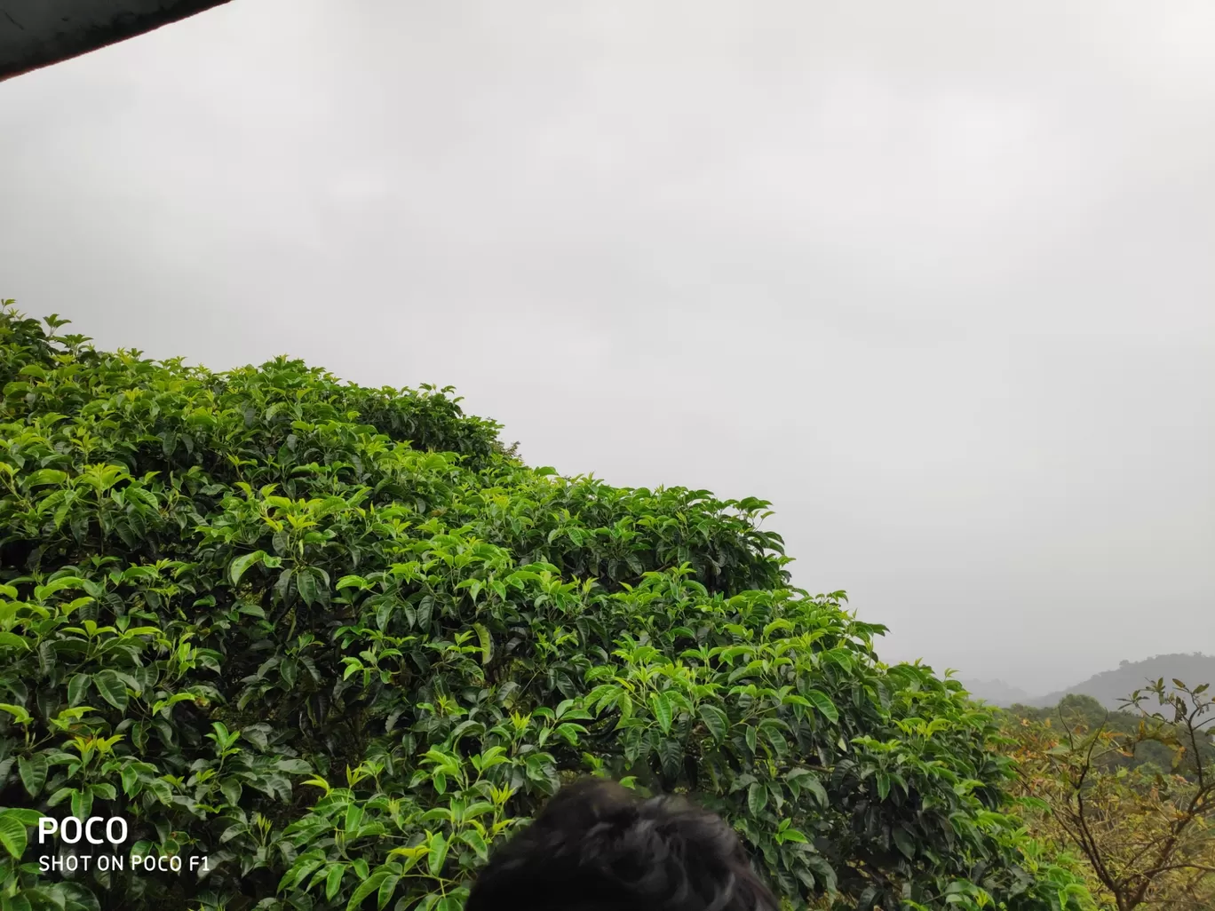 Photo of Kerala By Lj Hiremath