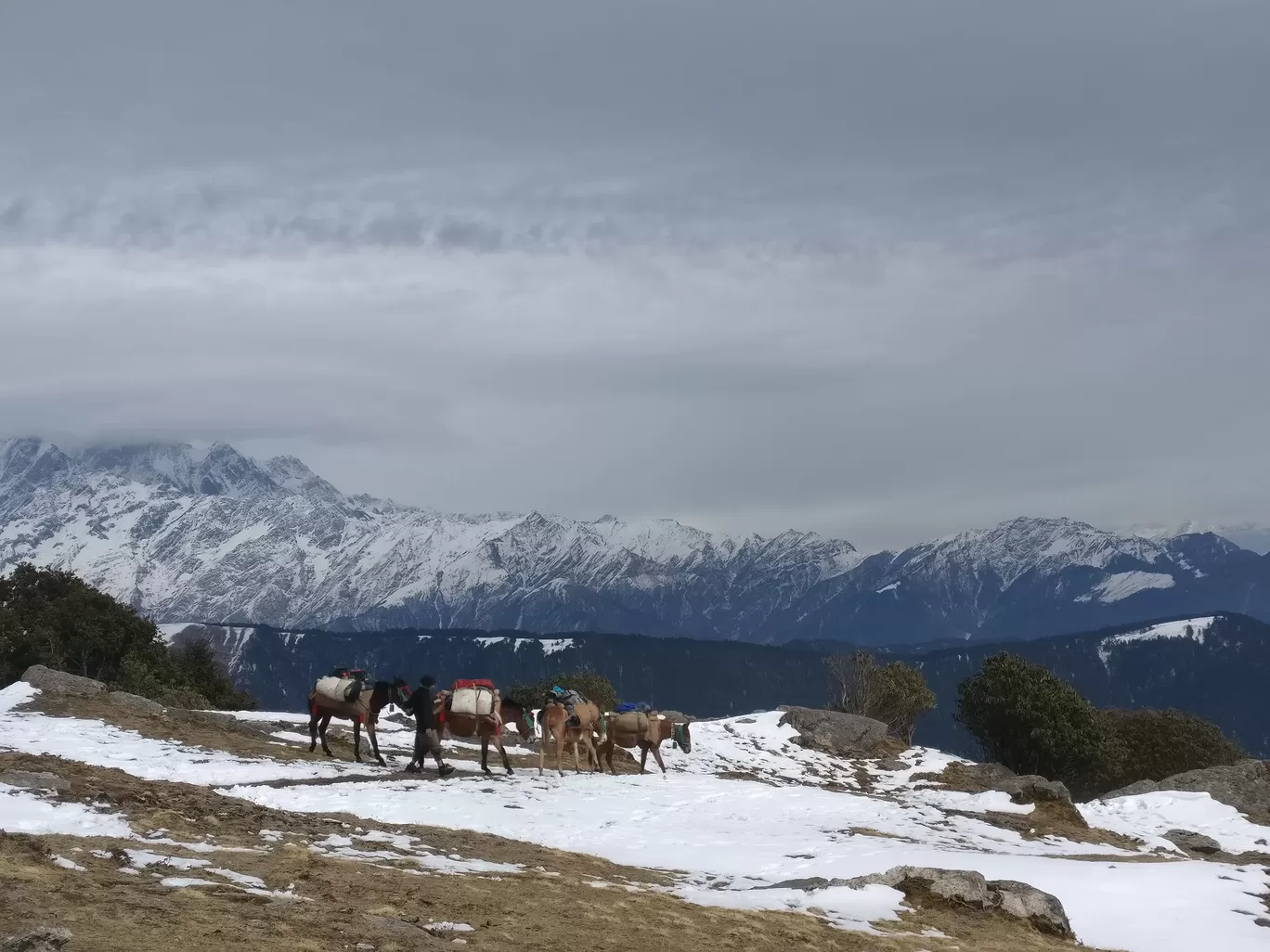 Photo of Lohajung By Tanu Rana