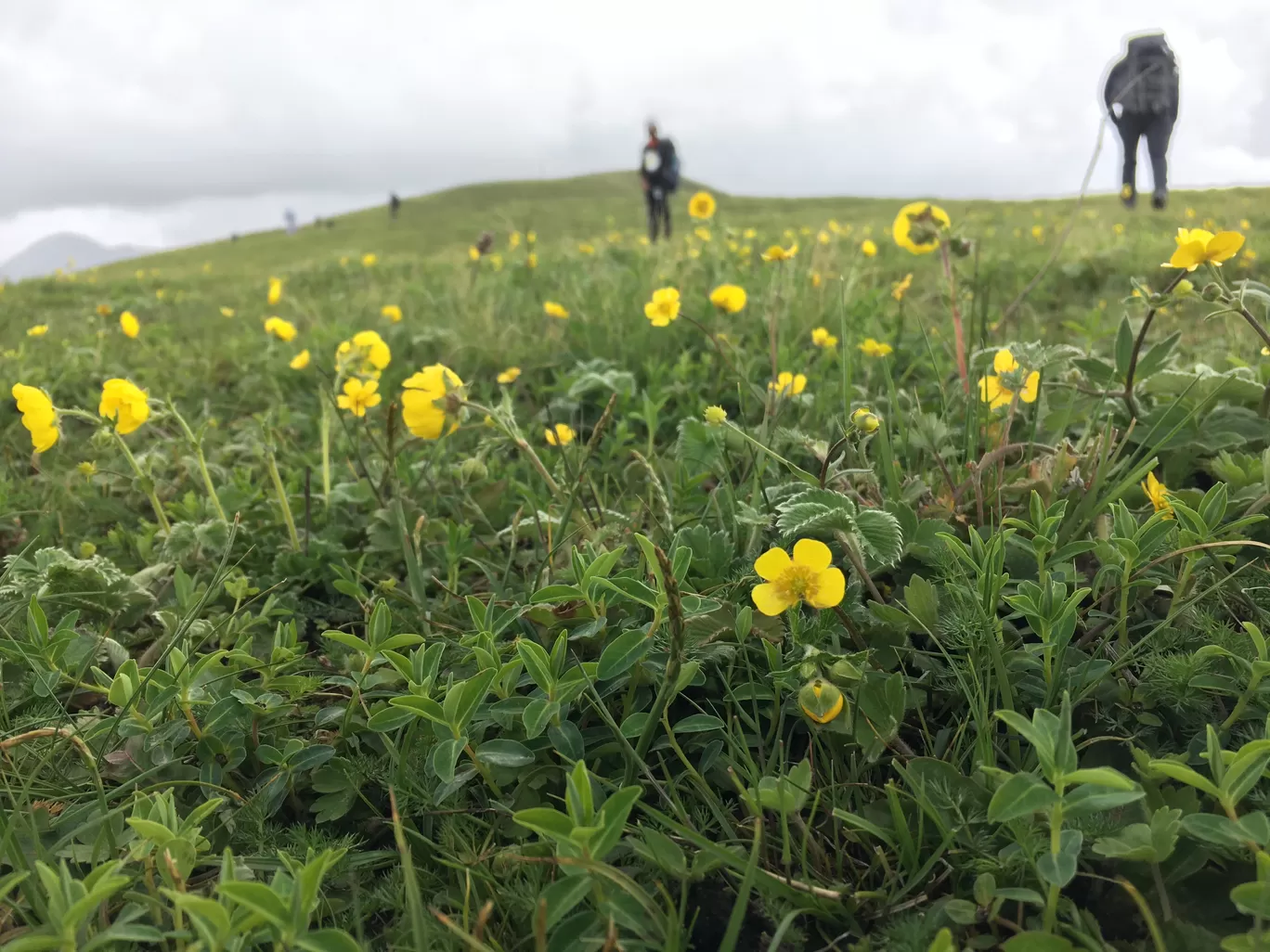 Photo of Roopkund Lake By Aakarsh Rai