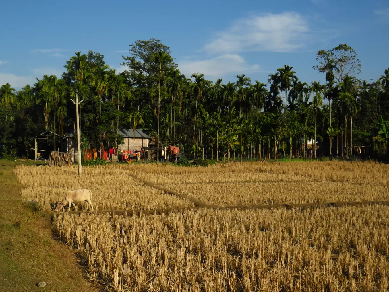 Photo of Arunachal Pradesh By Nitin Tidke