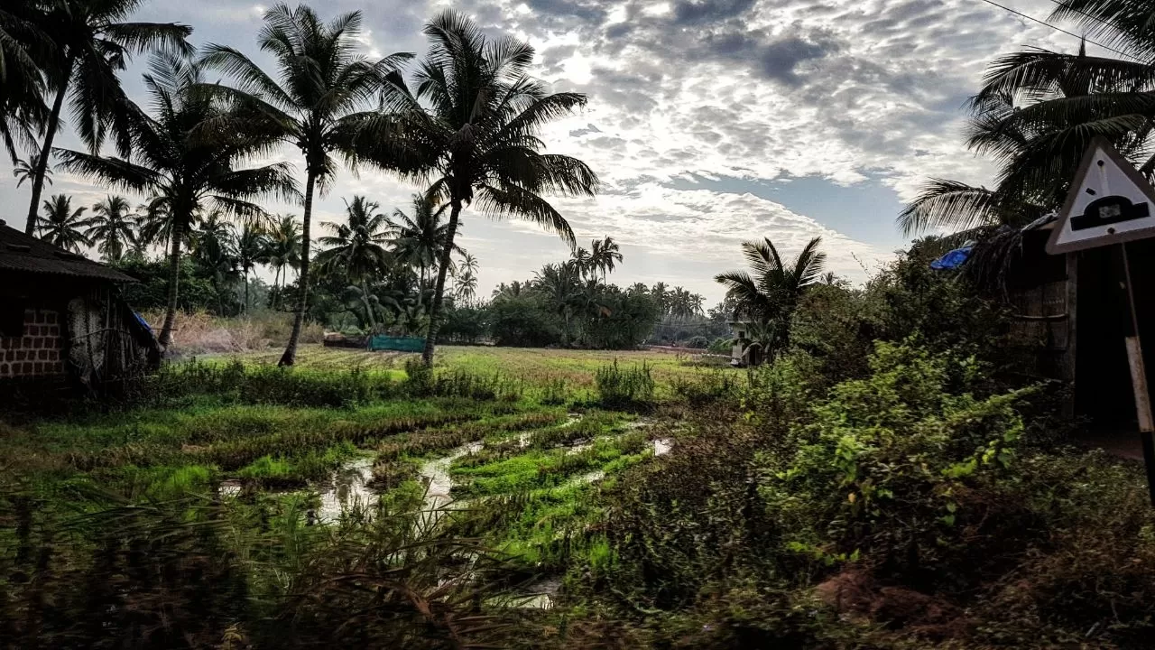 Photo of Goa By Maryam 