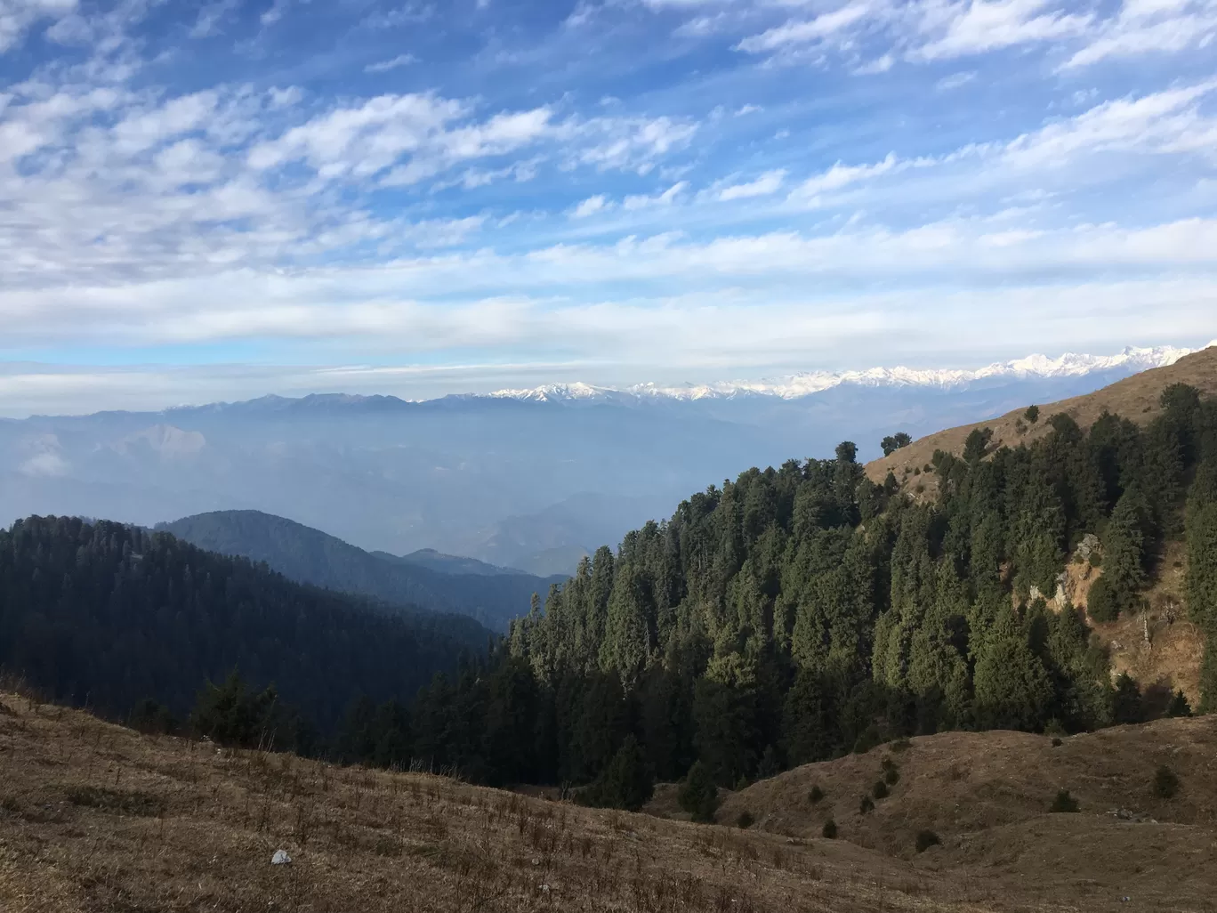 Photo of Dainkund Peak By Anu Priya 