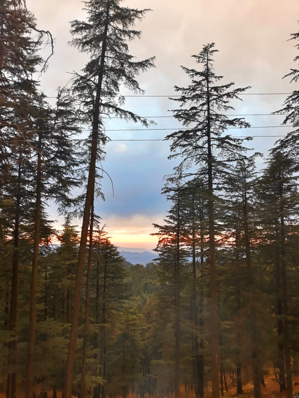 Photo of Shimla By Arjun Dhankar
