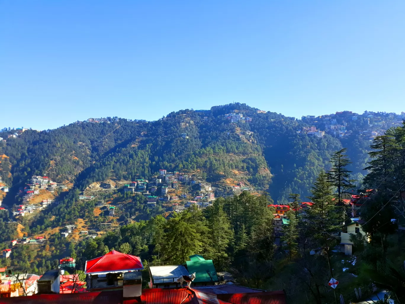 Photo of Shimla By Arjun Dhankar