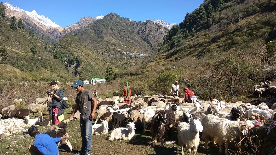 Photo of Kheer Ganga Trek By Anita Rawat
