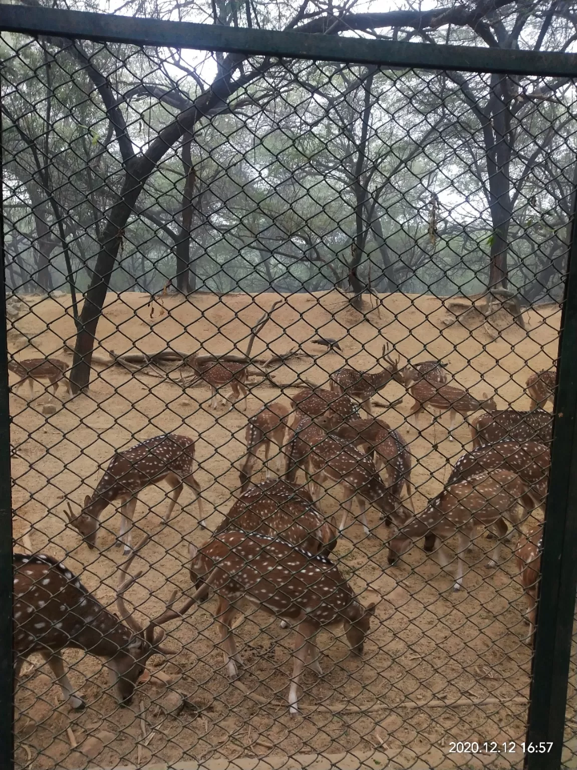 Photo of Deer Park By Kuldeep Singh Rawat