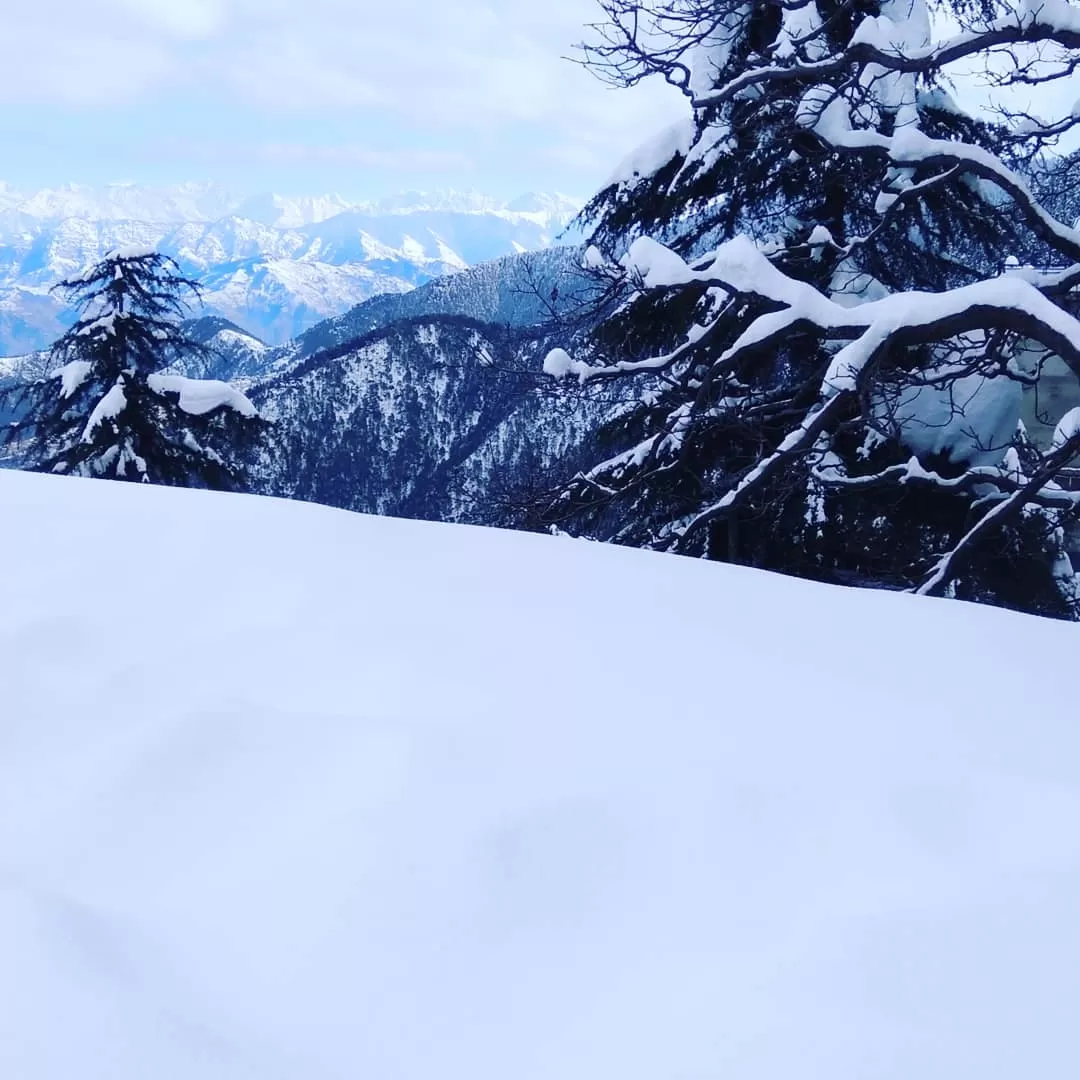 Photo of Dainkund Peak By Kapil Kumar Thawal