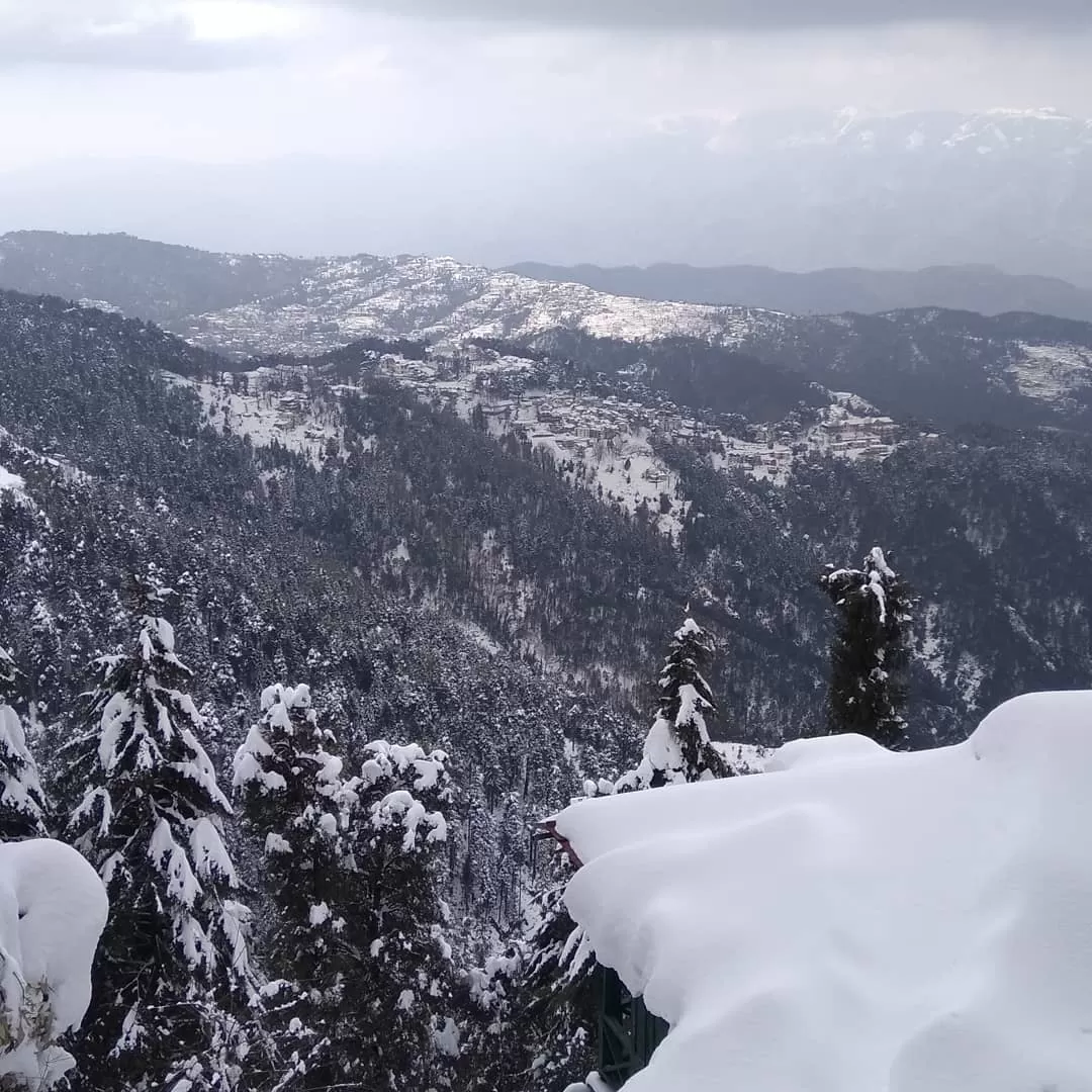 Photo of Dainkund Peak By Kapil Kumar Thawal