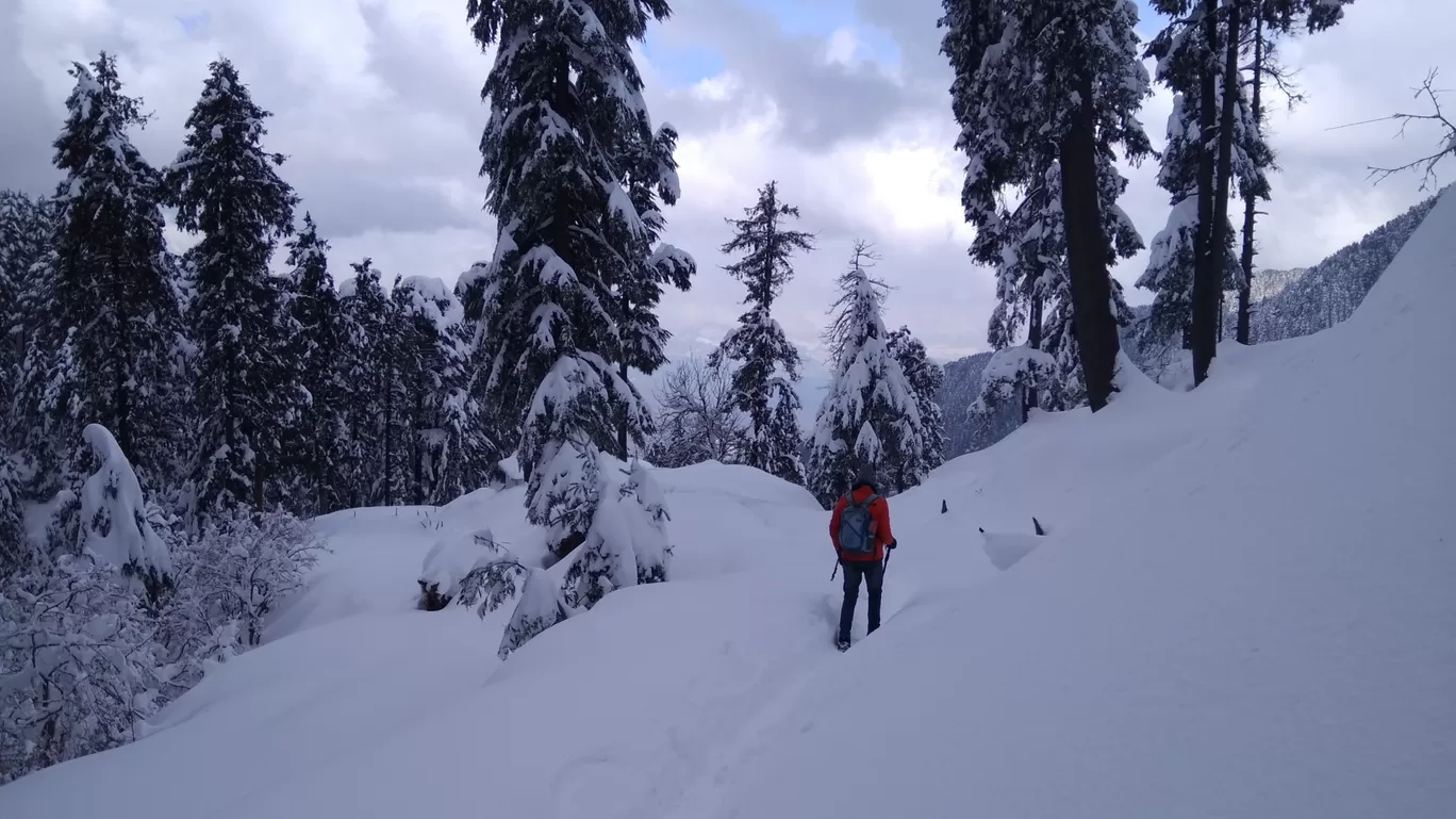 Photo of Dainkund Peak By Kapil Kumar Thawal