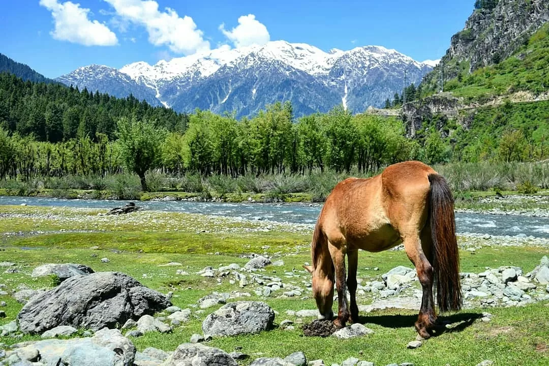 Photo of Pahalgam By Prasad Birajdar